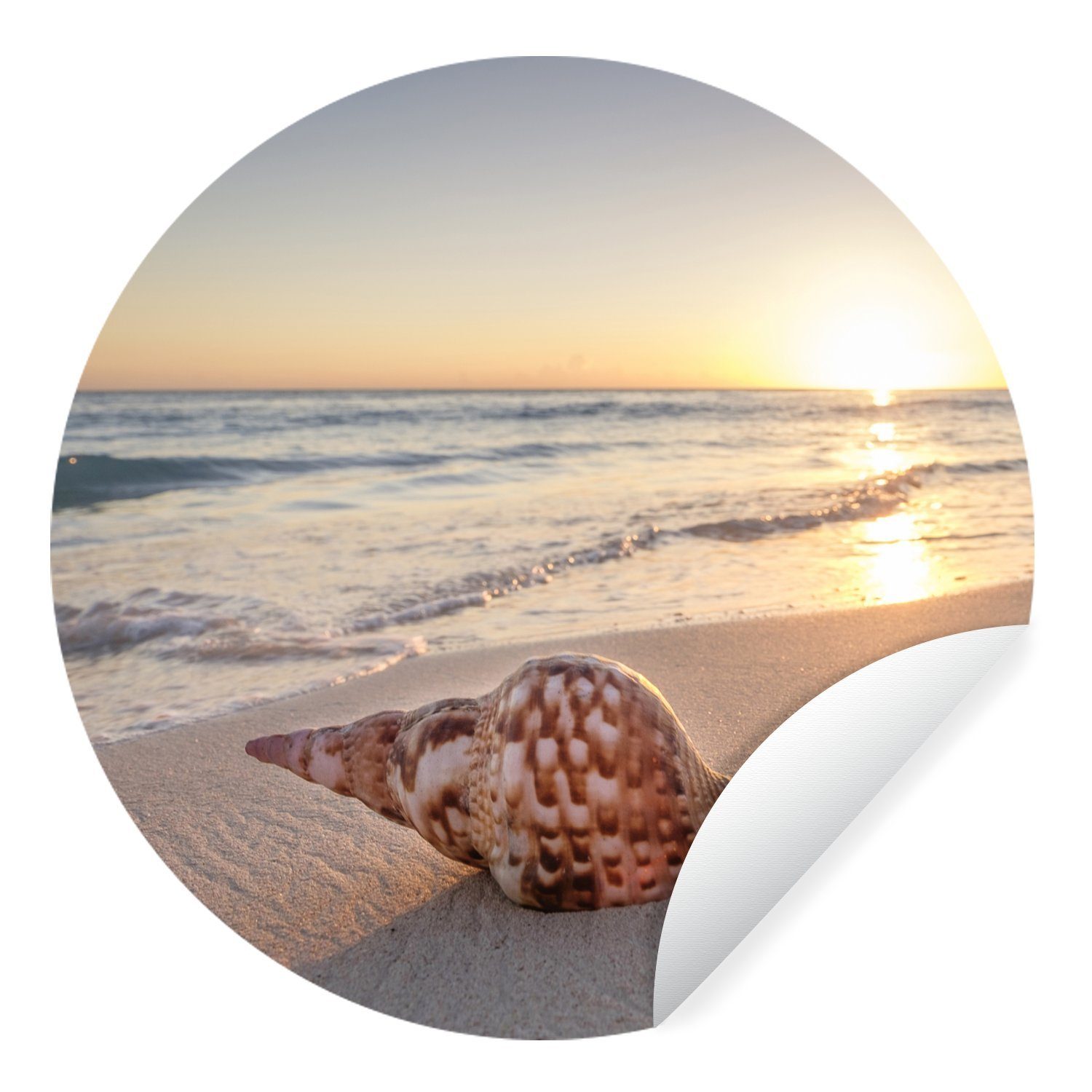 MuchoWow Wandsticker Muschel - Strand - Himmel (1 St), Wandtattoo Selbstklebend, Wohnzimmer Deko Aufkleber, 30x30 cm