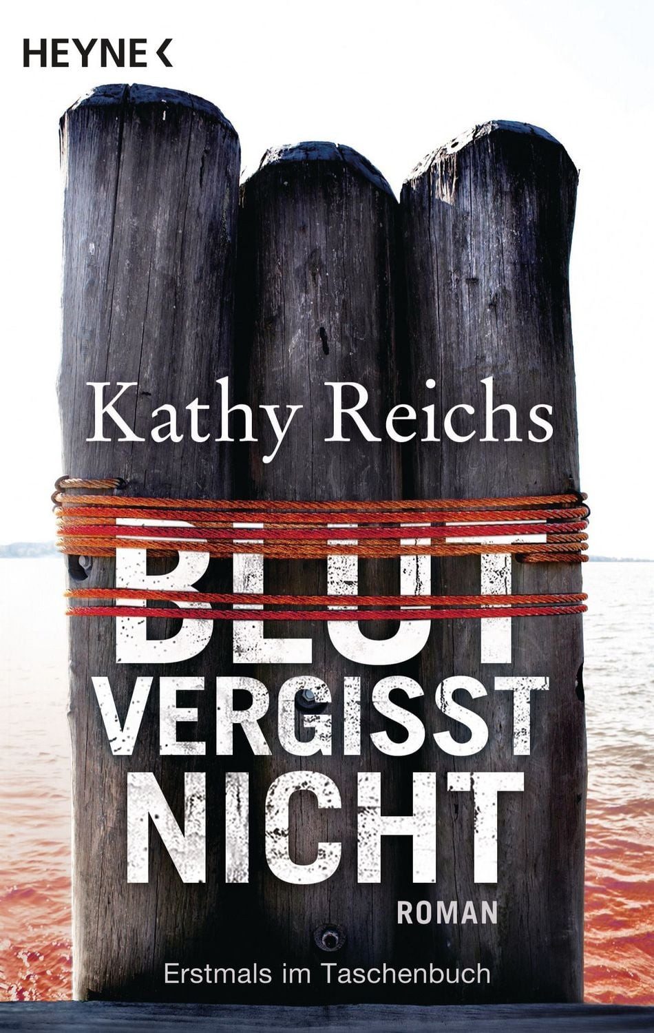 Blut vergisst nicht / Tempe Brennan Band 13 / Kathy Reichs