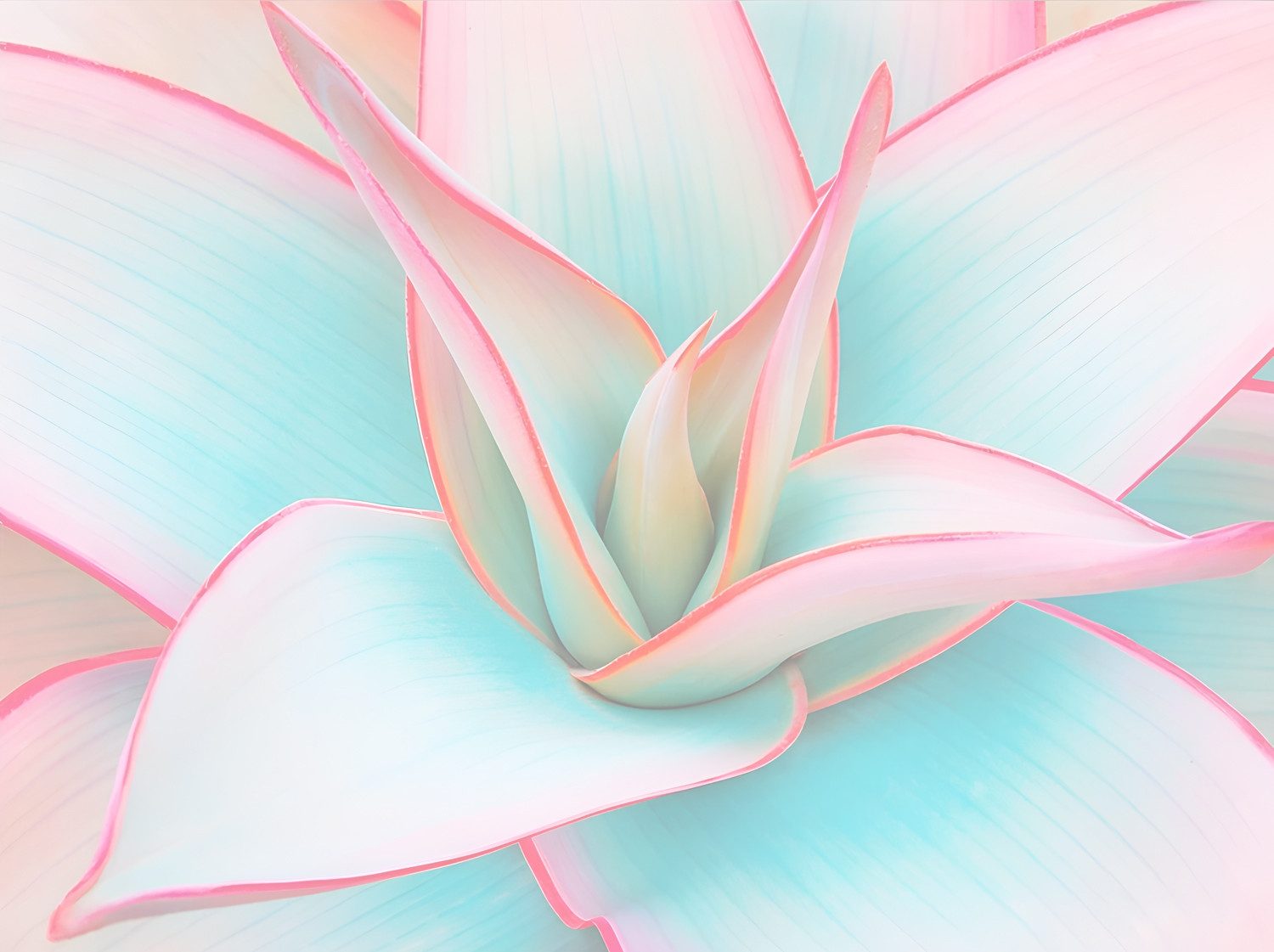 queence Acrylglasbild Blüte in Pastelltönen, Abstrakt, Abstrakte, Blumen, Blumenbilder, Formen, Gemälde, Kunst (1 St), Kunstdruck in Galeriequalität inkl. rückseitigem Aufhängesystem