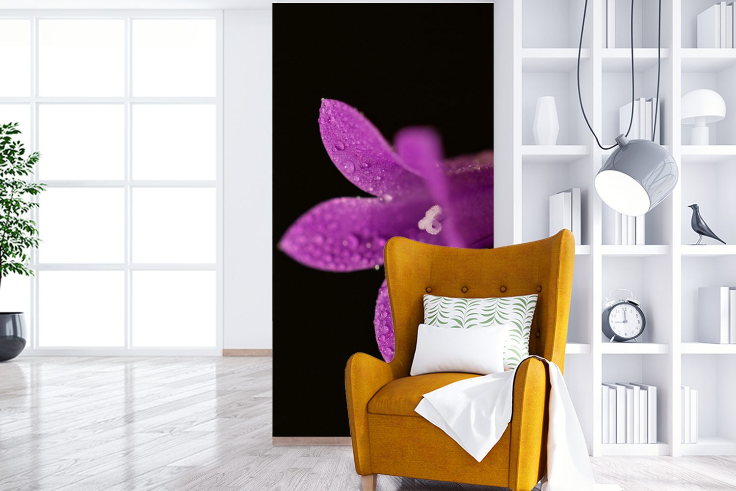 St), einer Hintergrund, Fototapete schwarzem Eine Nahaufnahme für lila Fototapete Küche, auf (2 Matt, Schlafzimmer MuchoWow bedruckt, Wohnzimmer Lilie Vliestapete
