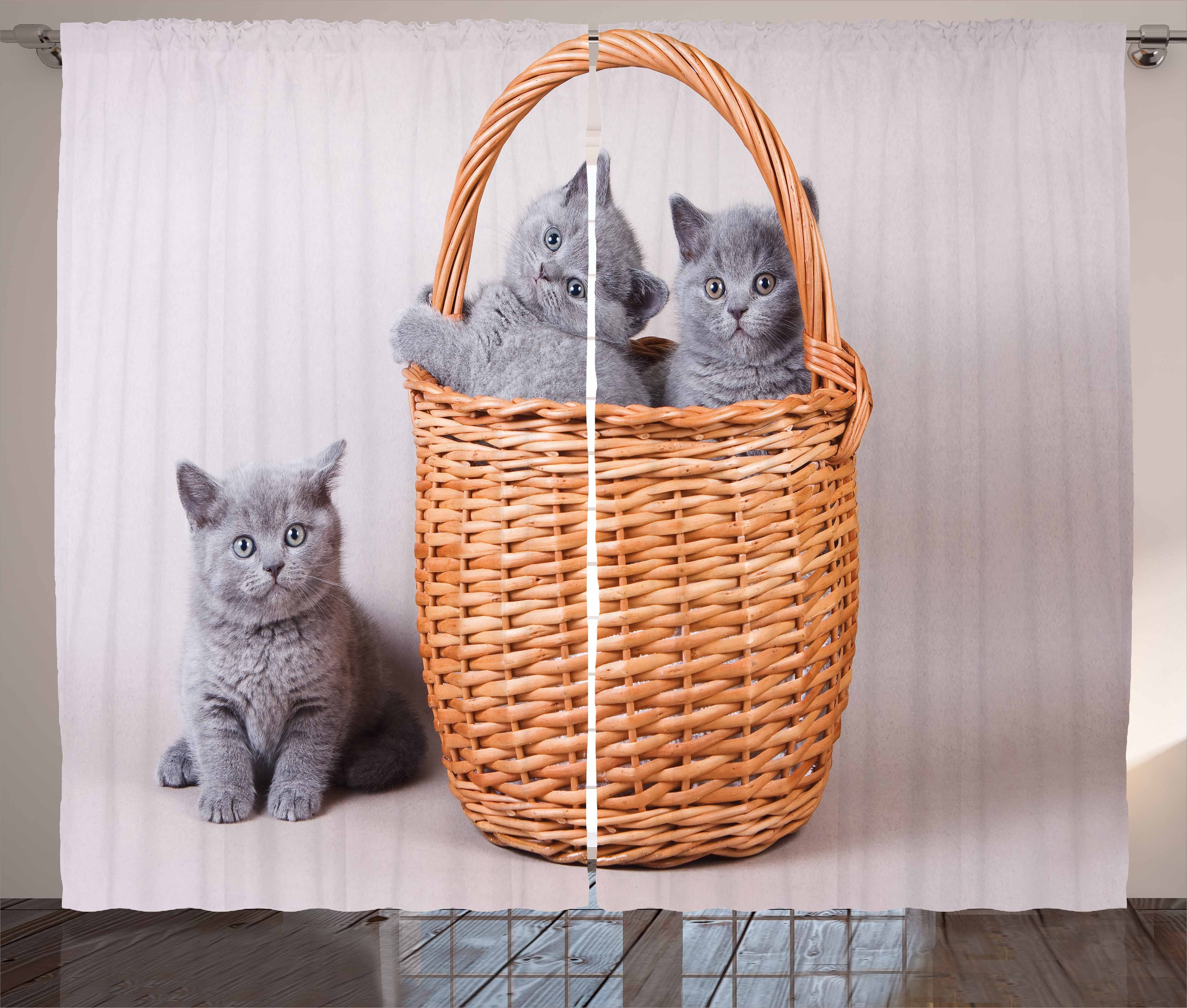 Abakuhaus, Kräuselband im Schlafzimmer Vorhang Katzen Schlaufen mit und Gardine Haken, Kätzchen Korb Britische