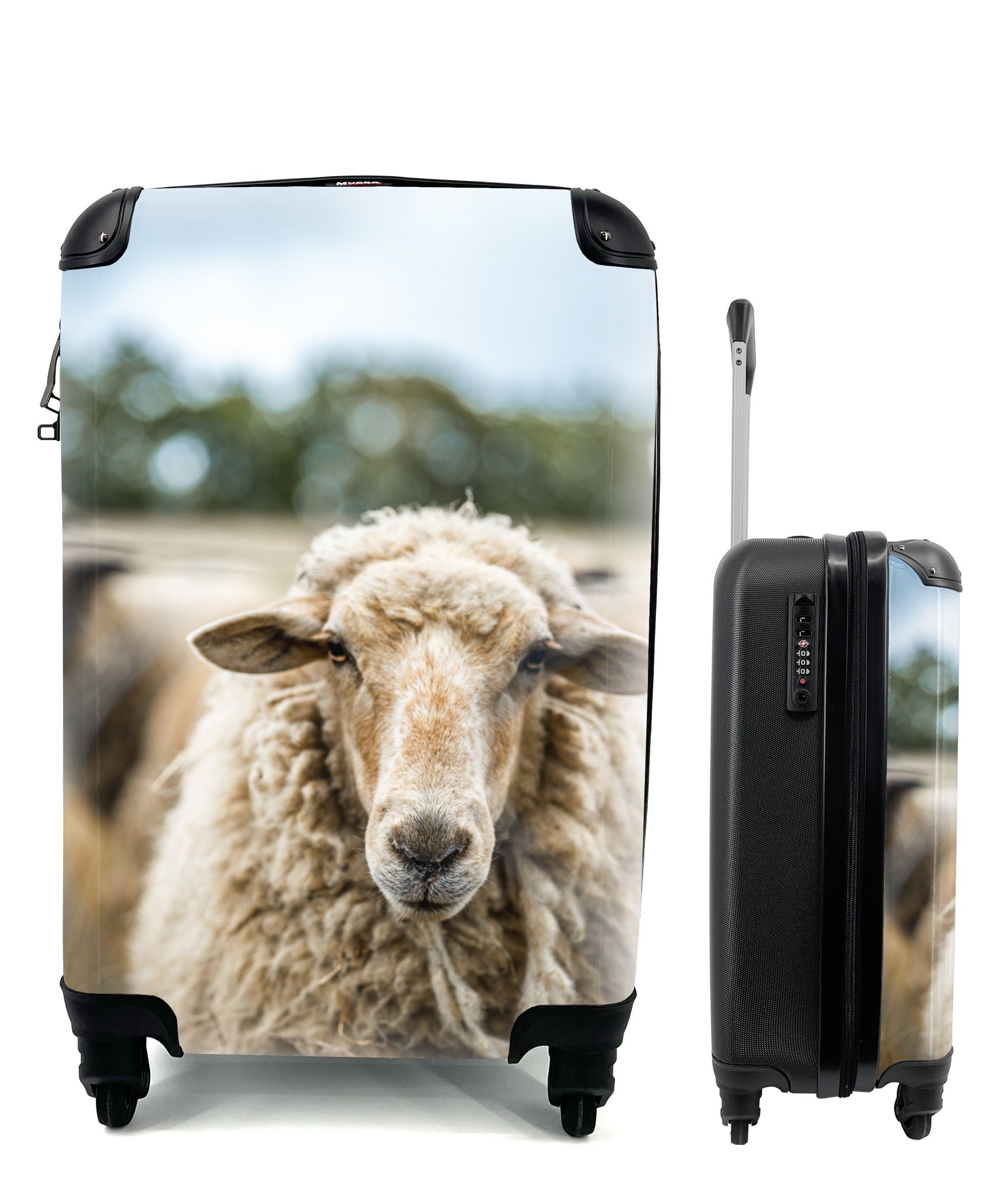 mit Rollen, Trolley, Reisetasche Handgepäckkoffer für Reisekoffer Schafes, Porträt 4 Ferien, eines rollen, MuchoWow Handgepäck