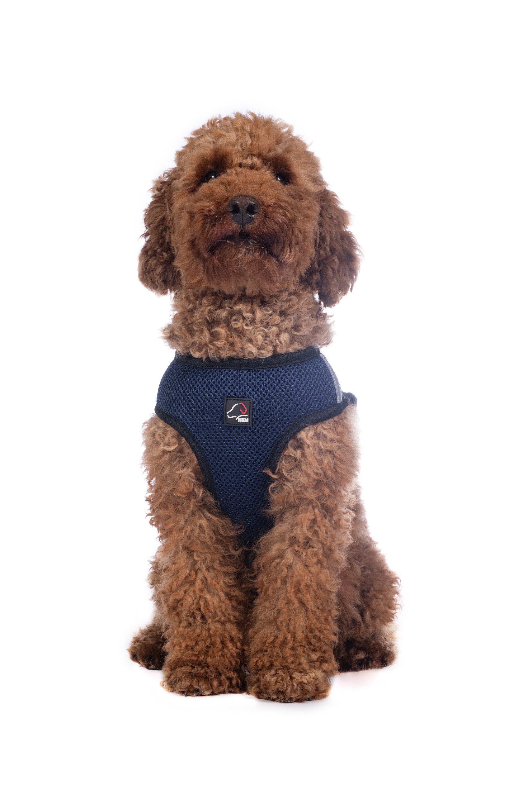 HKM Dogs Hunde-Geschirr Hundegeschirr -Buddy Soft- günstig online kaufen