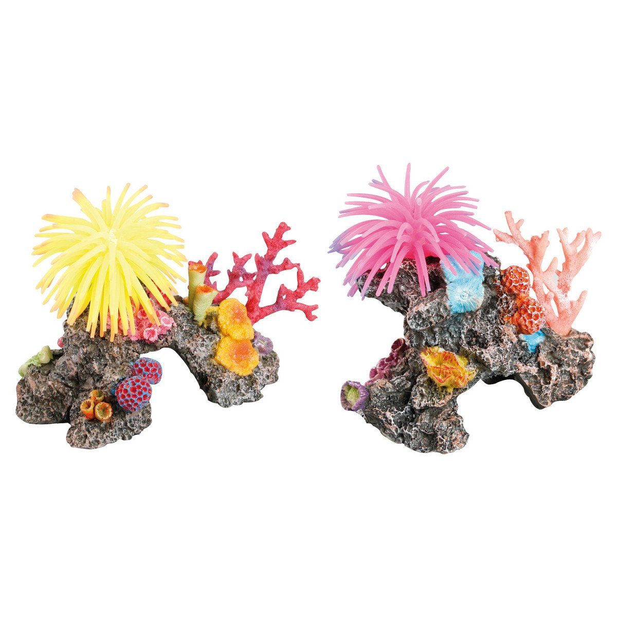 Aquariendeko Aquariendeko Riff mit Anemone