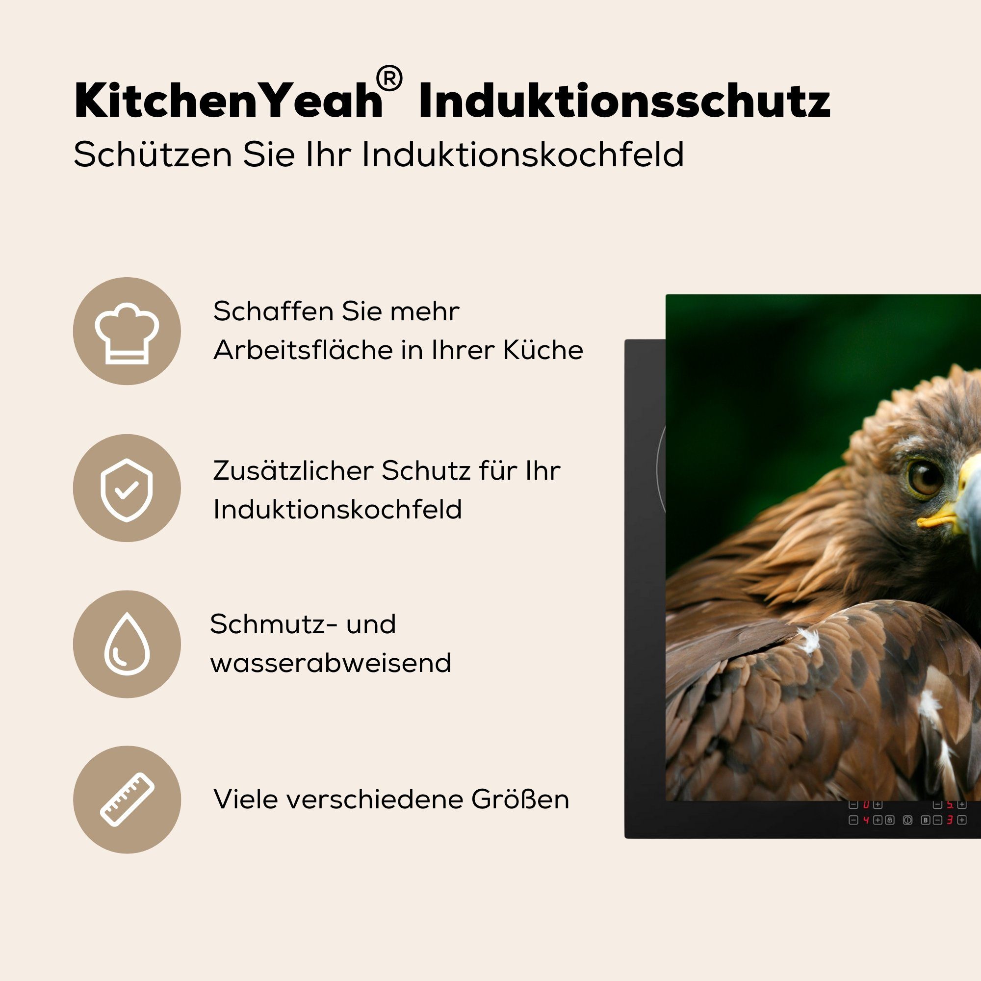Adler Raubvogel, Arbeitsplatte (1 Herdblende-/Abdeckplatte MuchoWow küche - Ceranfeldabdeckung, tlg), Vinyl, - 78x78 cm, Braun für