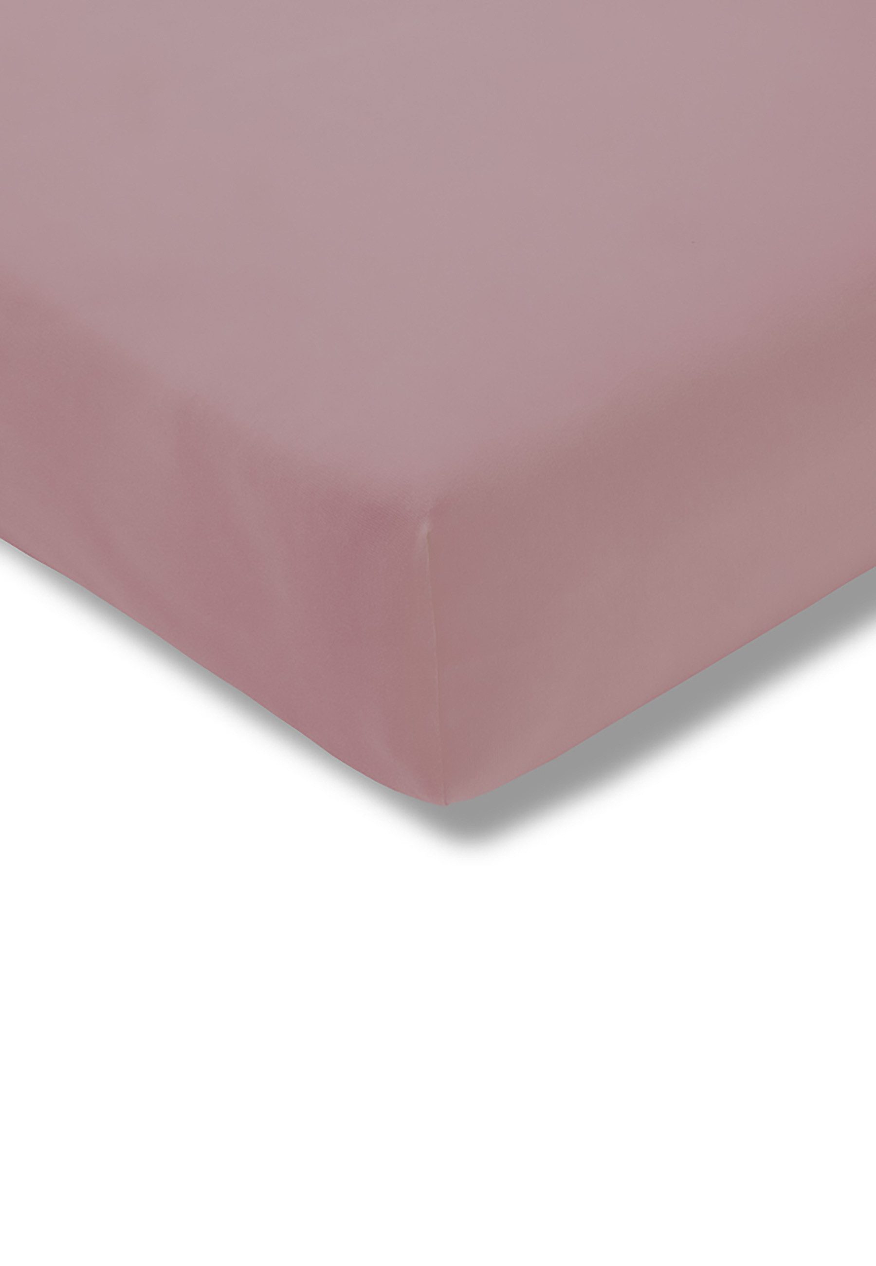 ESTELLA Fein-Jersey Spannbetttuch  UNI ¦ lila/violett ¦ Maße (cm): B: 180 B günstig online kaufen