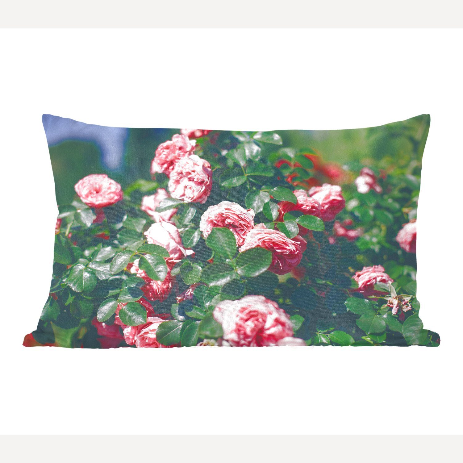 MuchoWow Dekokissen Schöne rosa Rose im Sommergarten, Wohzimmer Dekoration, Zierkissen, Dekokissen mit Füllung, Schlafzimmer