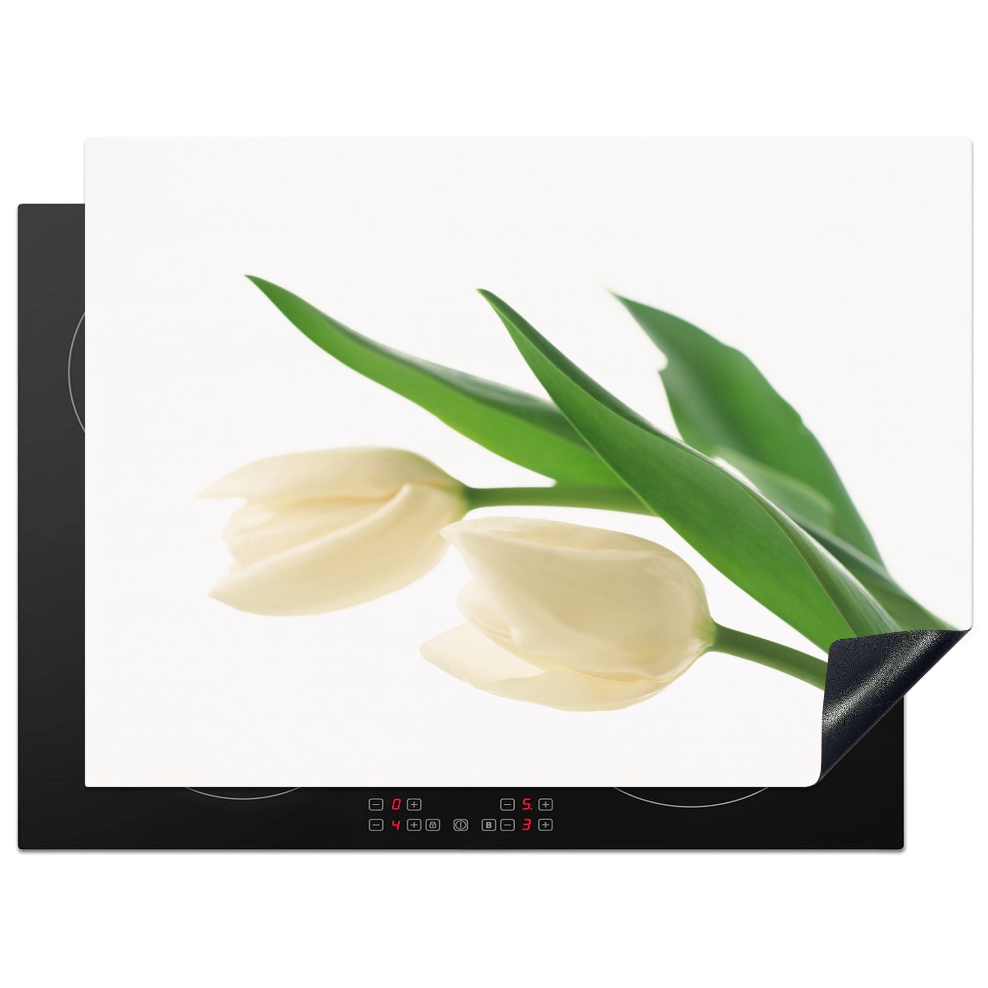 MuchoWow Herdblende-/Abdeckplatte Zwei weiße Tulpen auf hellem Hintergrund, Vinyl, (1 tlg), 70x52 cm, Mobile Arbeitsfläche nutzbar, Ceranfeldabdeckung