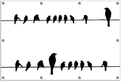 Wallario Sichtschutzzaunmatten Vögel auf einer Stromleitung