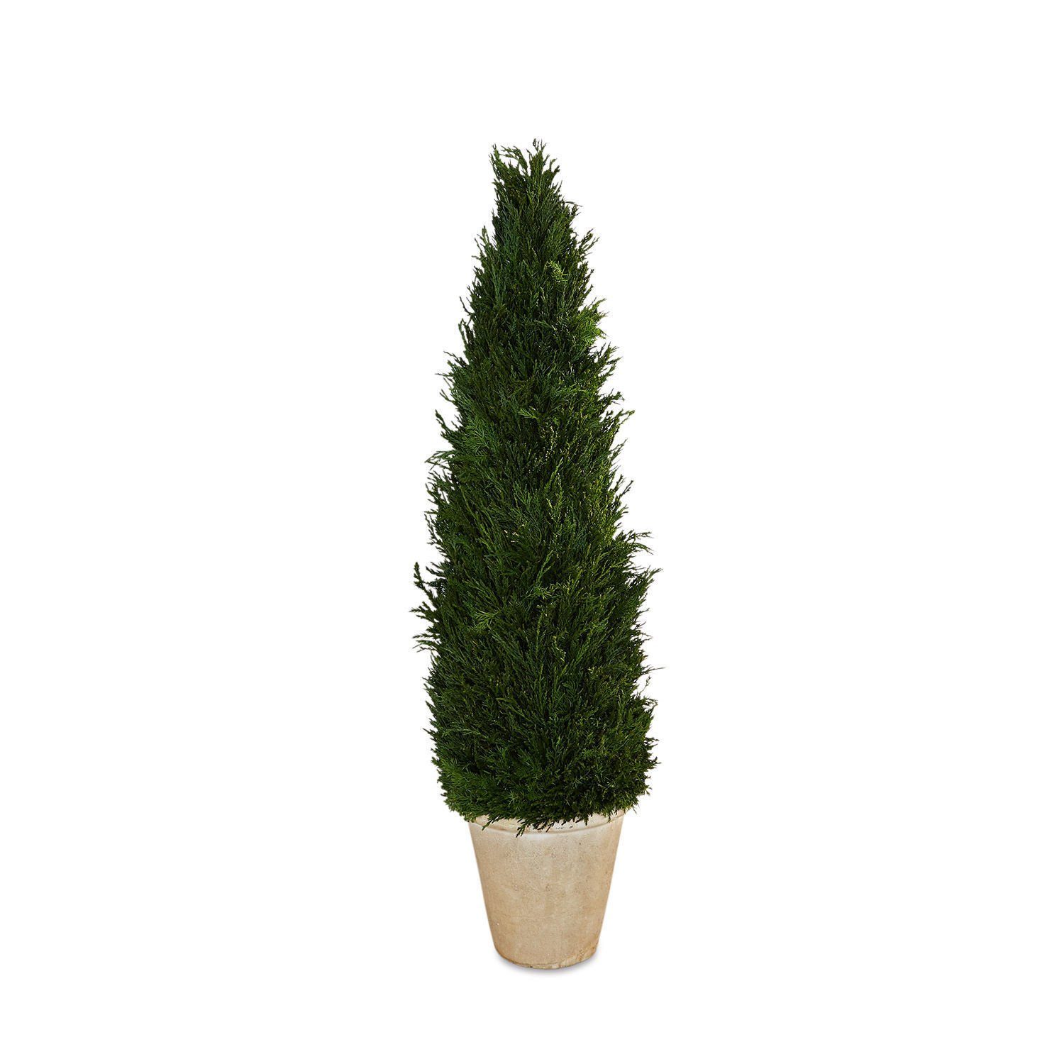 Mirabeau Dekobaum Deko-Topfpflanze Arras grün. € 198,00