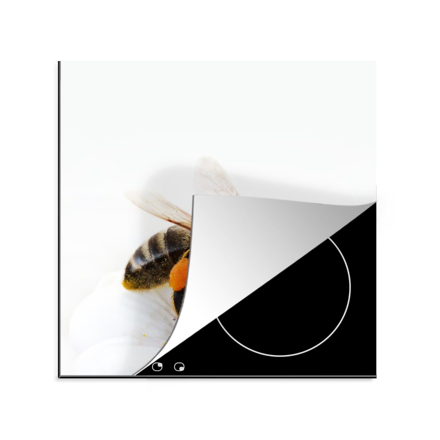MuchoWow Herdblende-/Abdeckplatte Honigbiene 78x78 Arbeitsplatte Blüte, einer Vinyl, Ceranfeldabdeckung, cm, (1 für tlg), küche weißen Nahaufnahme auf einer