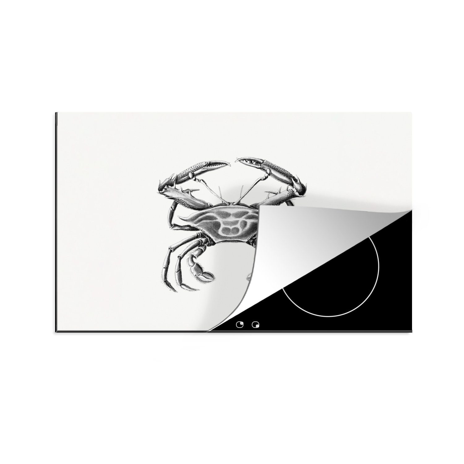 MuchoWow Herdblende-/Abdeckplatte Ernst Haeckel - Jahrgang - Kunst - Krabbe, Vinyl, (1 tlg), 80x52 cm, Induktionskochfeld Schutz für die küche, Ceranfeldabdeckung