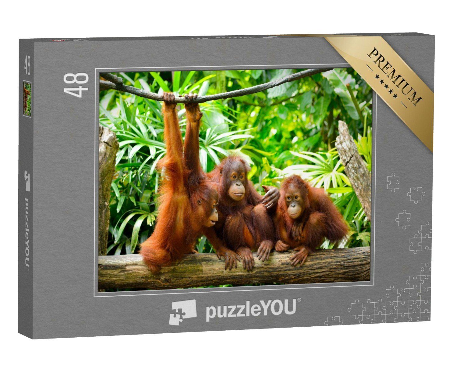puzzleYOU Puzzle Nahaufnahme von Orang-Utans, 48 Puzzleteile, puzzleYOU-Kollektionen Tiere