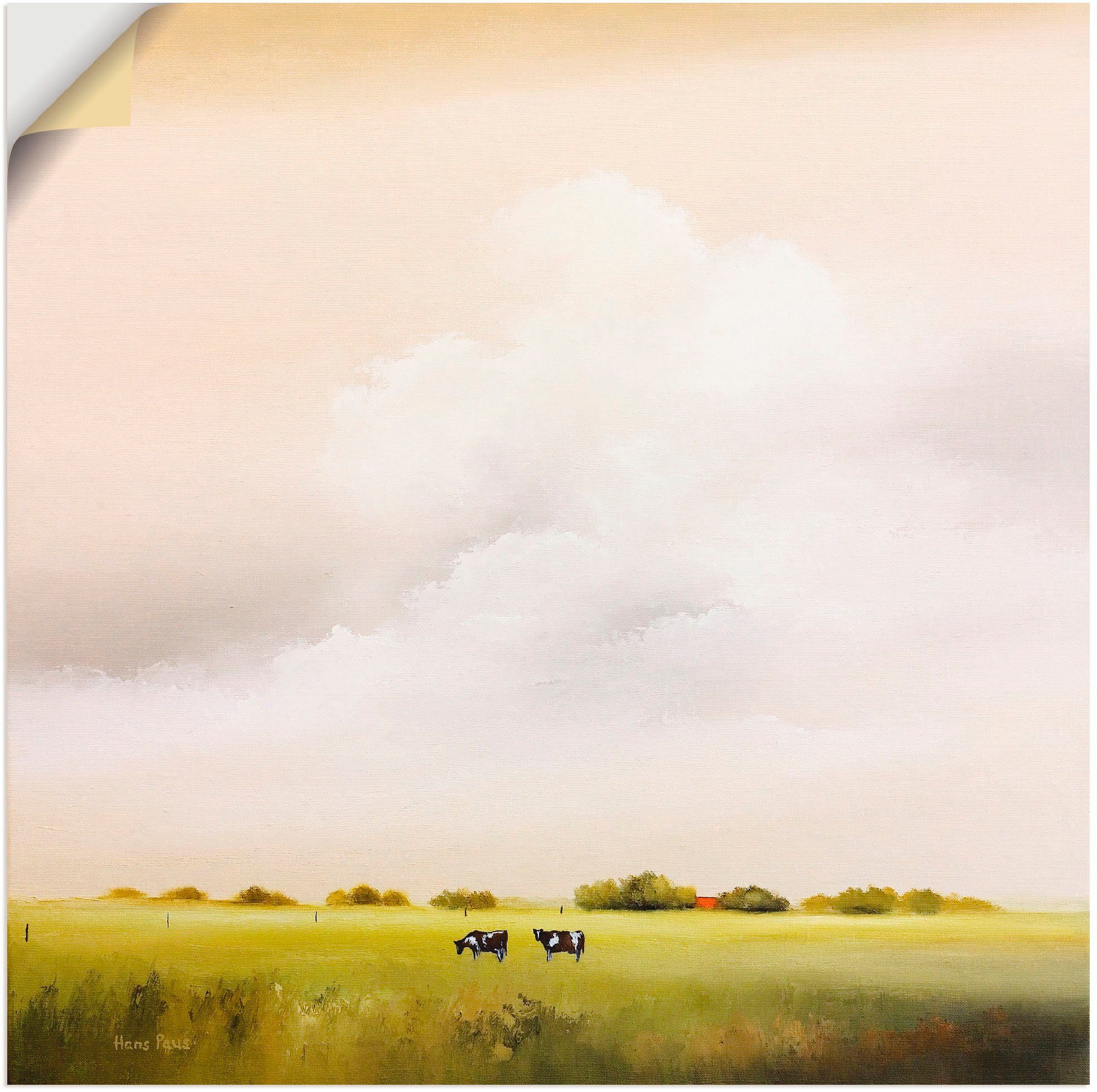Artland Wandbild Kühe I, Felder (1 St), als Leinwandbild, Wandaufkleber oder Poster in versch. Größen