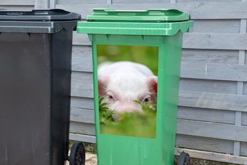 MuchoWow Wandsticker Schwein - Tiere - Groß (1 St), Mülleimer-aufkleber, Mülltonne, Sticker, Container, Abfalbehälter