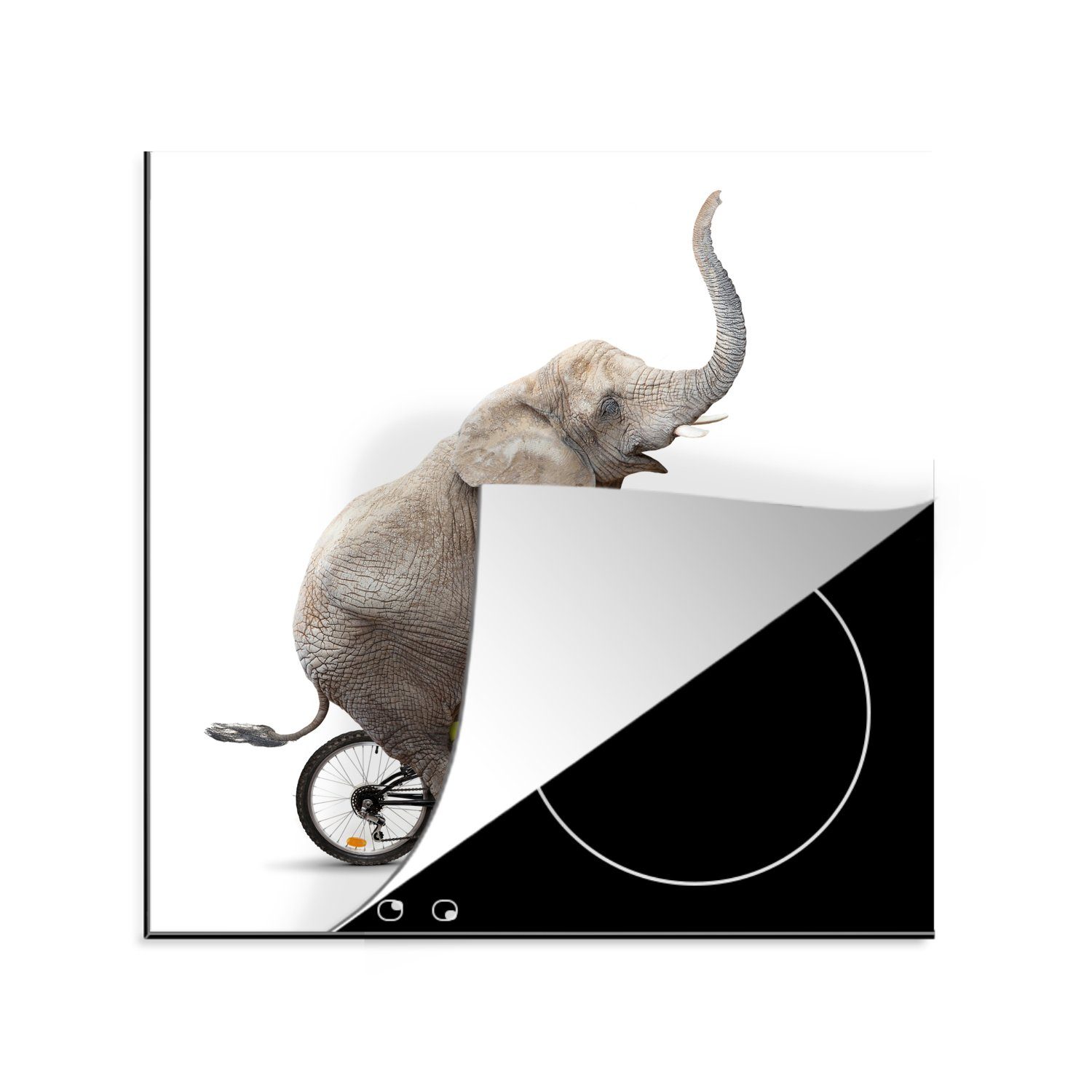 Ceranfeldabdeckung, Weiß, Vinyl, für Elefant - 78x78 küche - cm, Arbeitsplatte tlg), Herdblende-/Abdeckplatte MuchoWow Fahrrad (1