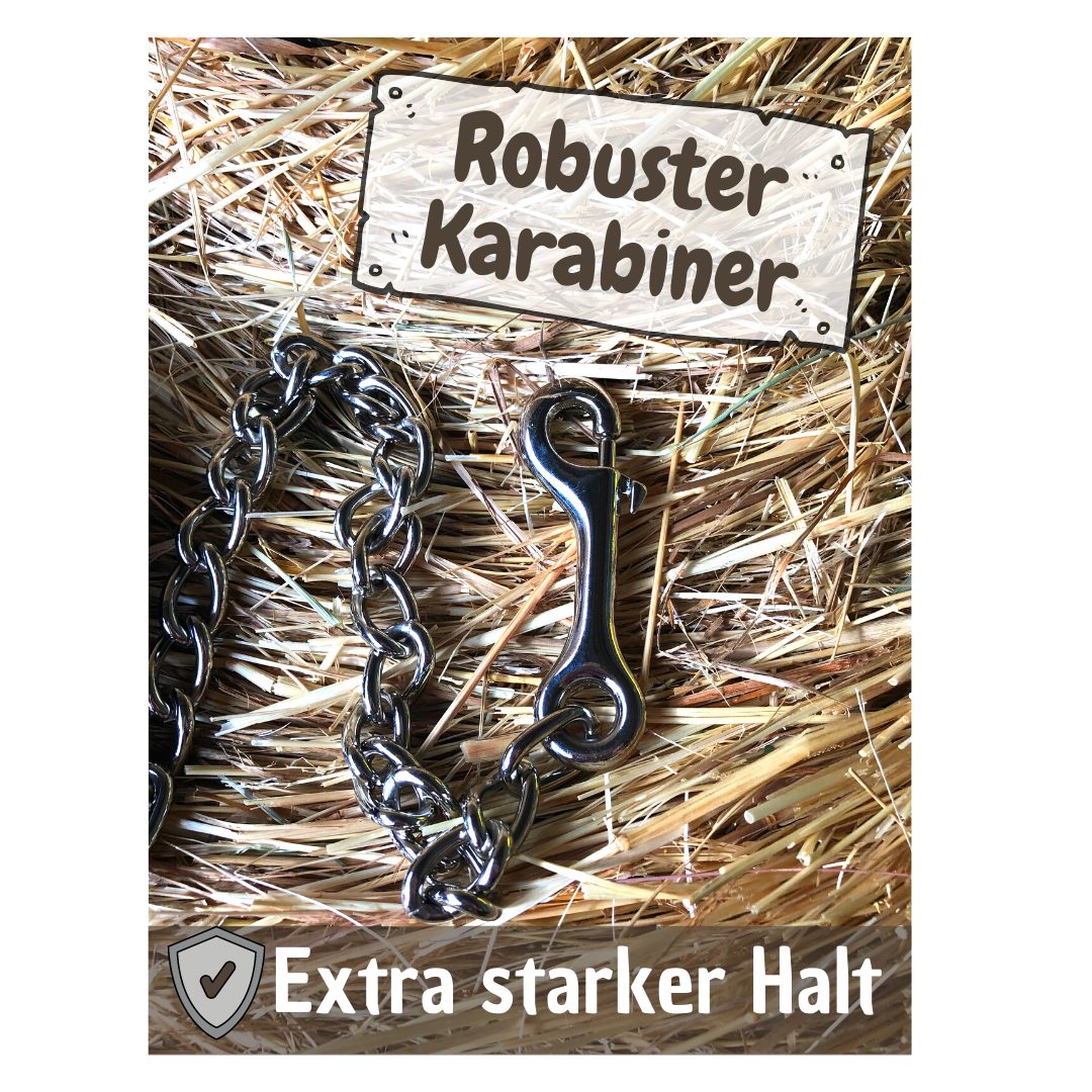 Pferdelinis Anbinde- / Führstrick Führkette Pferde Eisenkette Handgriff Führleine Pony Länge 2,10 m, Länge 210cm