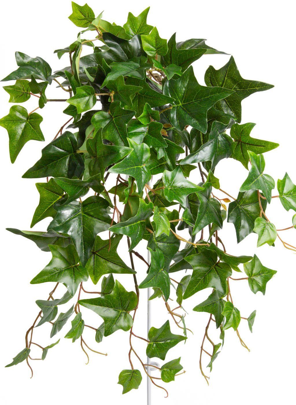 Künstliche Zimmerpflanze Efeu-Hängebusch mit 10 Stielen Efeu, Botanic-Haus,  Höhe 50 cm