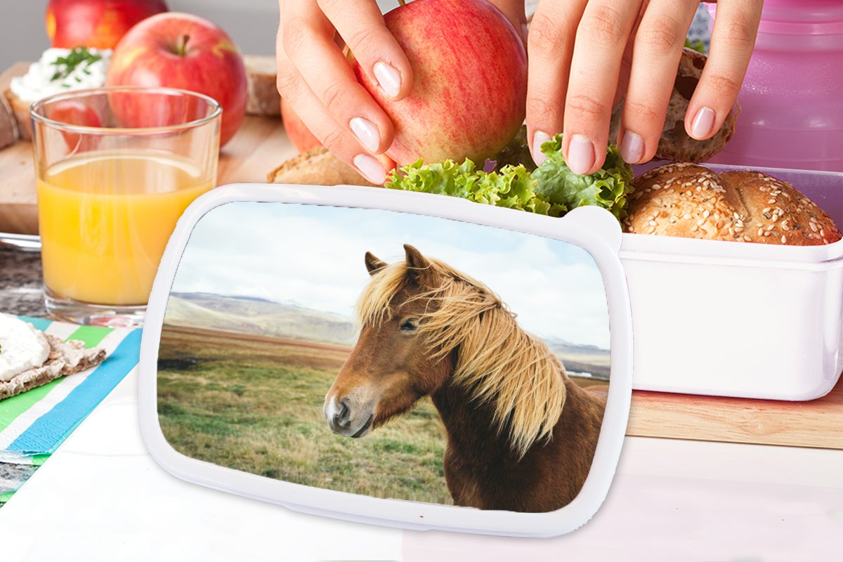 Pferd Brotbox (2-tlg), Brotdose, - MuchoWow für Kunststoff, Lunchbox für Island, Kinder weiß und und Erwachsene, Natur - Jungs Mädchen