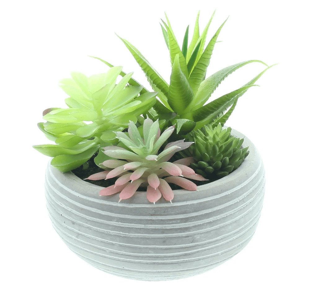 Kunstpflanze Sukkuletten im Topf Kunstblume Zimmerpflanze Ø 12 cm, Home-trends24.de, Höhe 14 cm