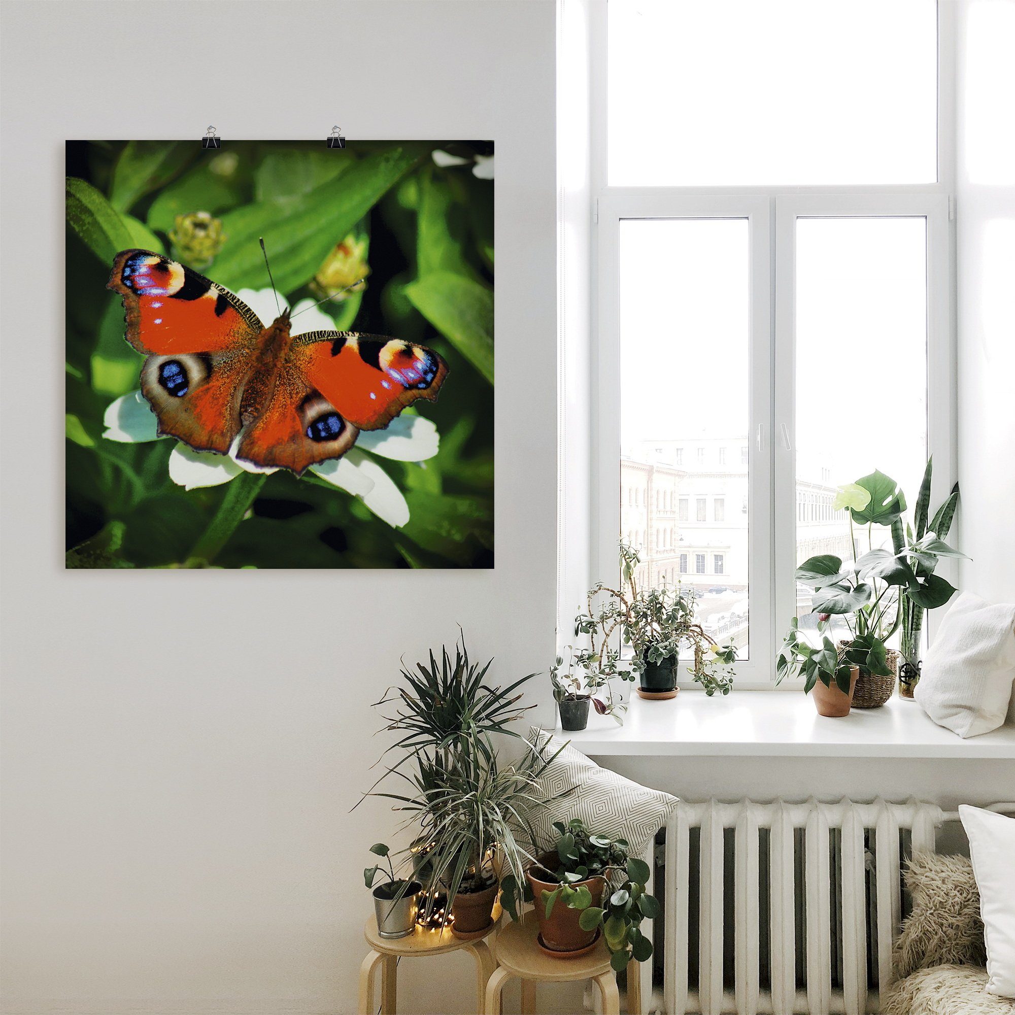 Artland Wandbild Tagpfauenauge, als St), Poster Alubild, Insekten oder (1 in Wandaufkleber versch. Leinwandbild, Größen