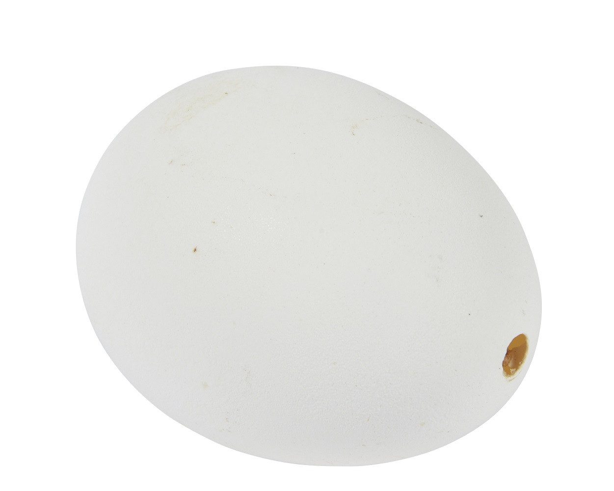 Kaemingk Osterei Deko Gänse-Ei Ostern L.12cm W.12cm H.9cm weiß 4 Stück
