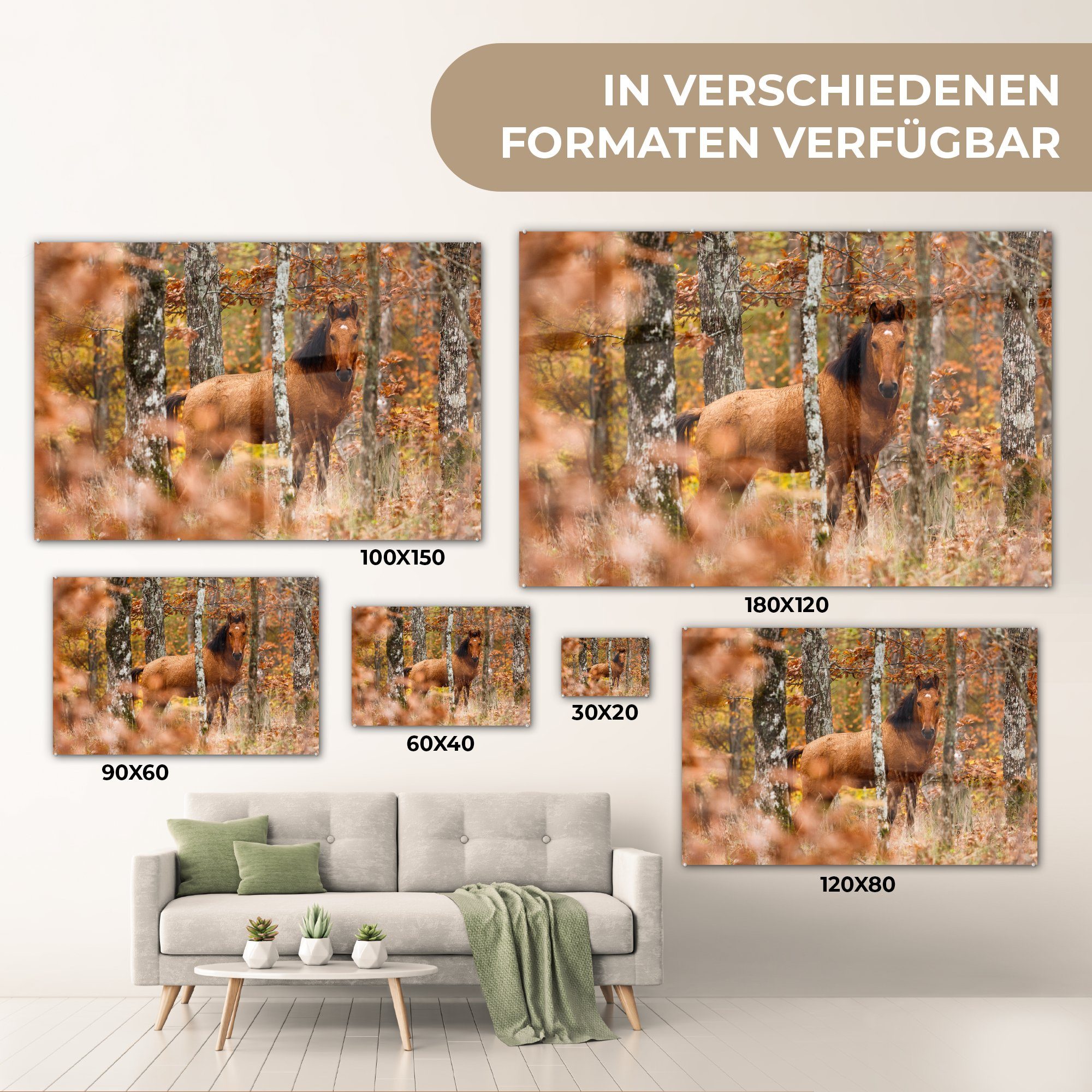 & Acrylglasbilder MuchoWow Wohnzimmer Herbst, St), Pferd - Wald Schlafzimmer - Acrylglasbild (1