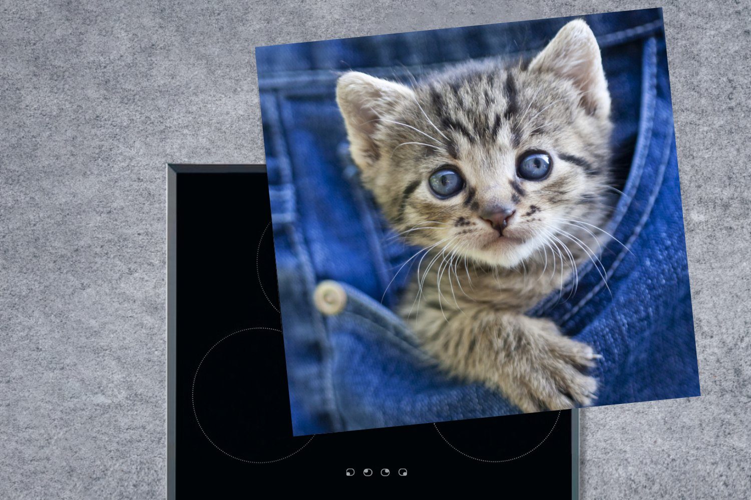 MuchoWow Denim-Jeans, Herdblende-/Abdeckplatte (1 Ein für 78x78 in küche Arbeitsplatte Kätzchen tlg), cm, Ceranfeldabdeckung, Vinyl,