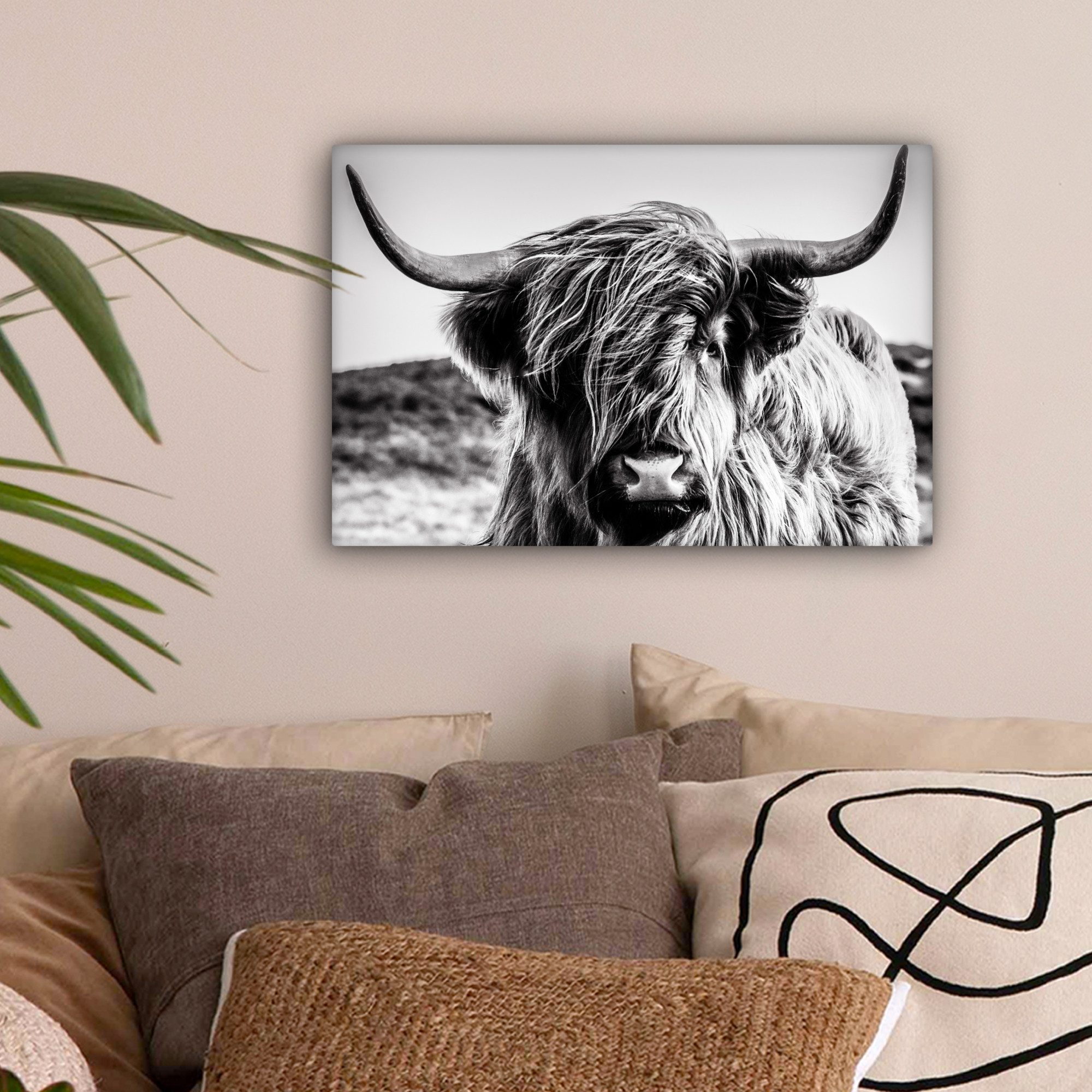 OneMillionCanvasses® Leinwandbild Kuh - Schottischer Hochländer - Schwarz - günstig online kaufen