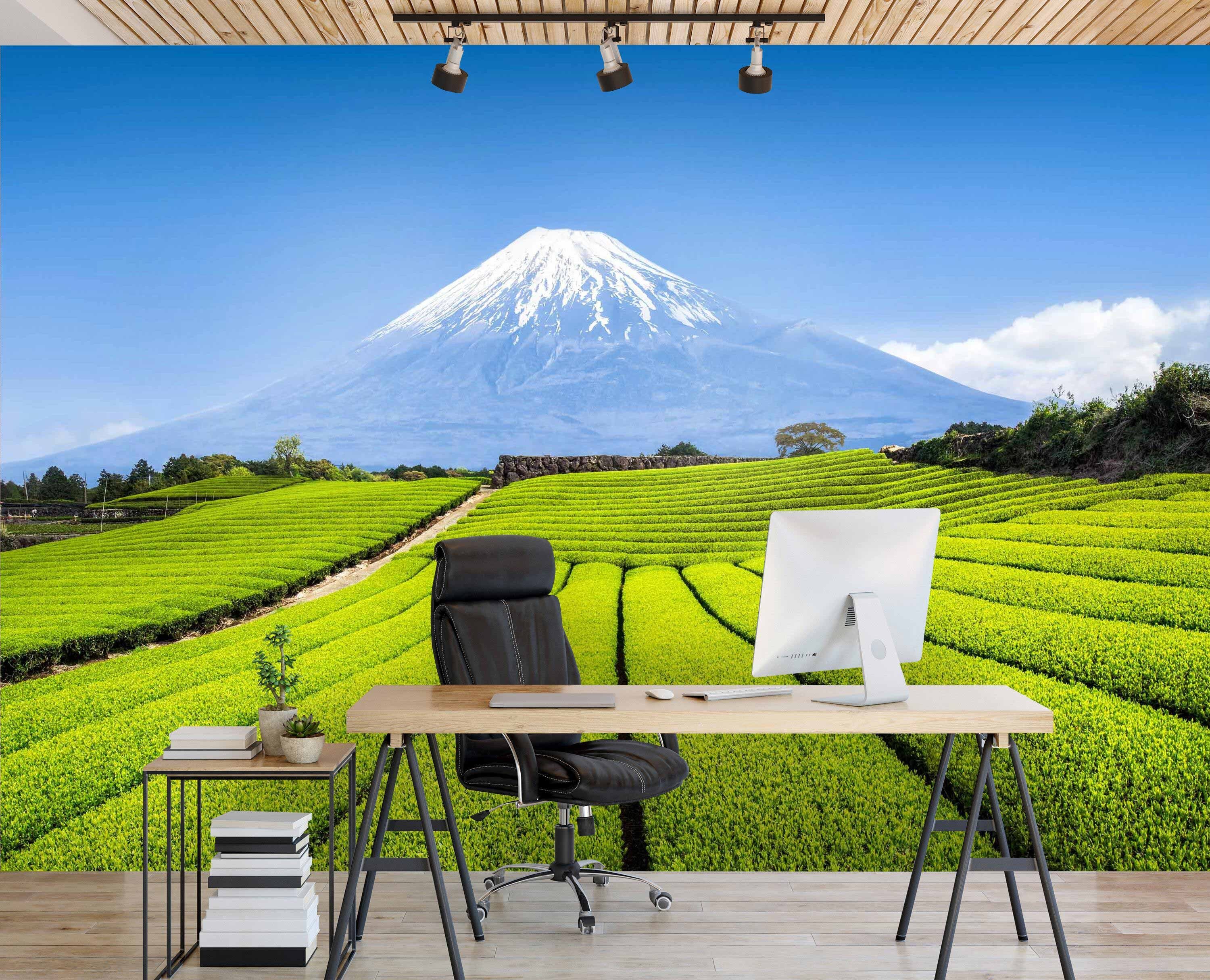 Wandtapete, Fototapete glatt, Motivtapete, Japanische Feld, matt, Landschaft wandmotiv24 Vliestapete