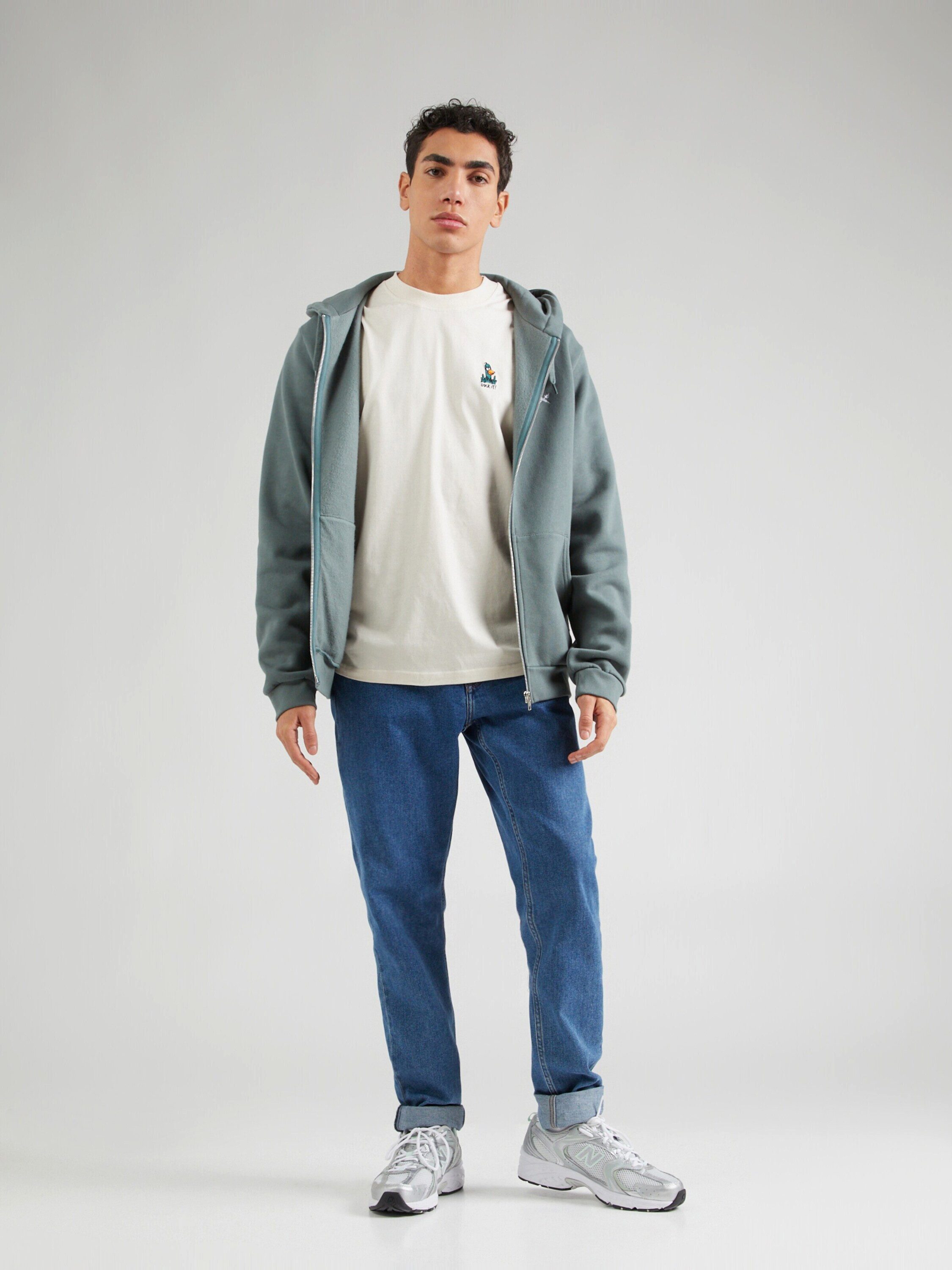 iriedaily Sweatjacke Mini Flag 2 (1-tlg)