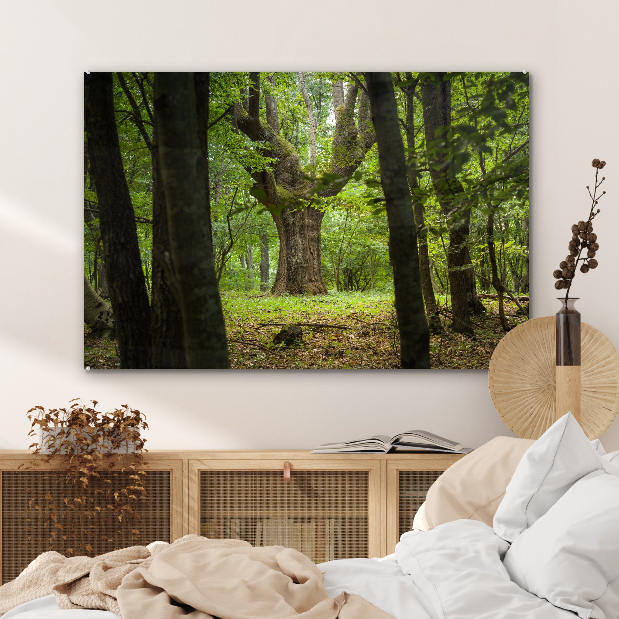 & (1 Acrylglasbilder Schlafzimmer Eine grünen Wald, einem in Eiche Acrylglasbild Wohnzimmer St), große MuchoWow tief