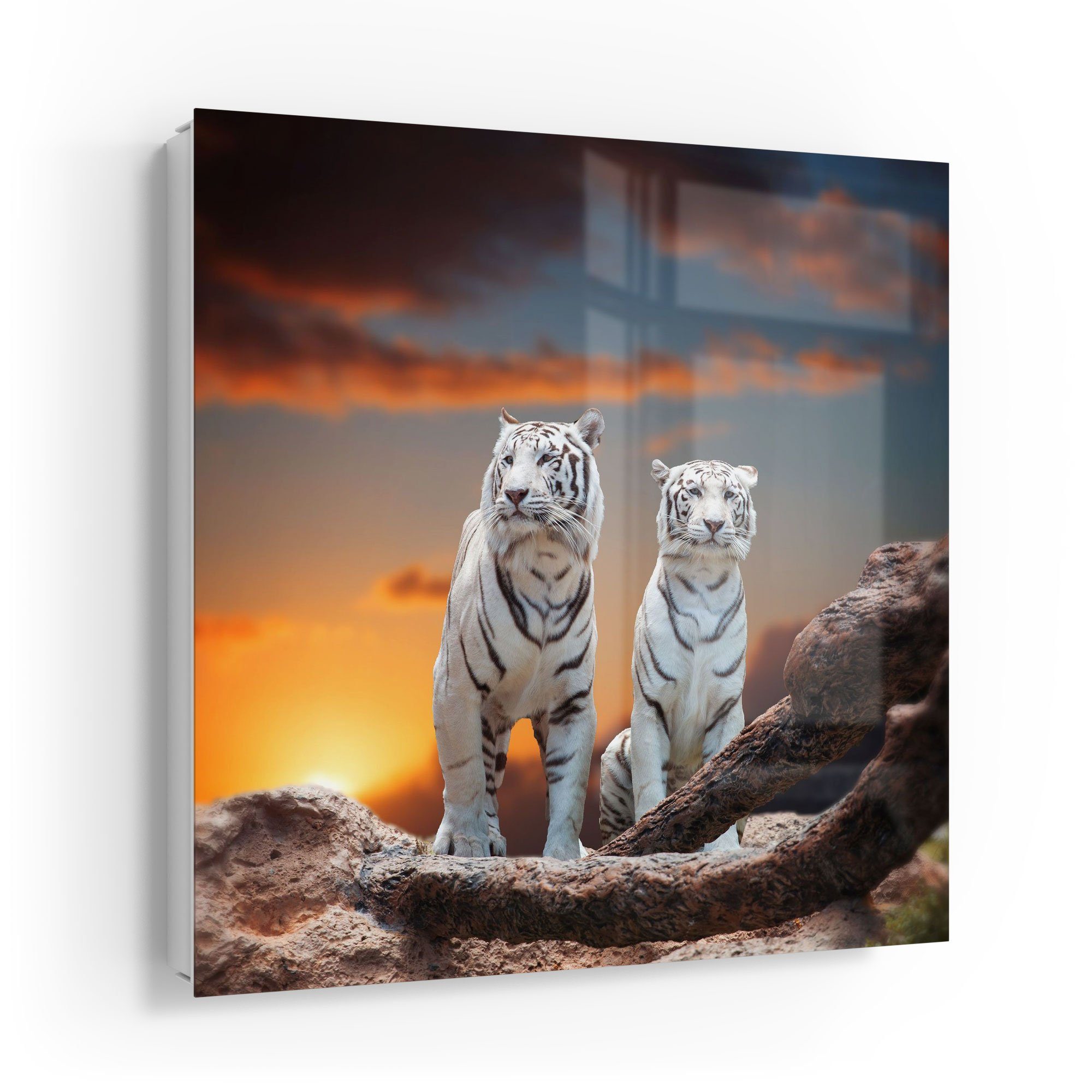 DEQORI Schlüsselkasten 'Weiße Tiger im Abendlicht', Glas Schlüsselbox modern magnetisch beschreibbar