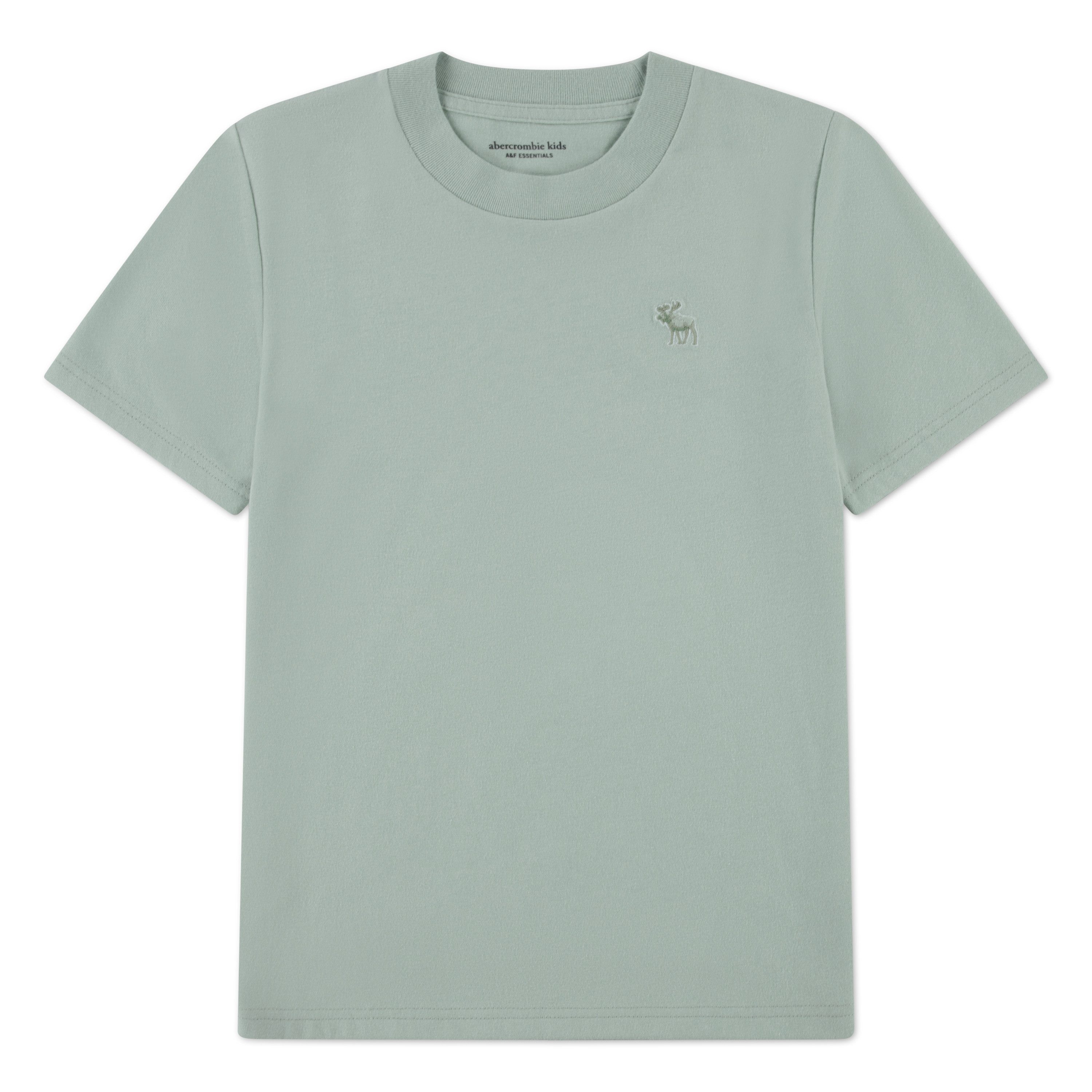 Abercrombie Kids T-Shirt AFBSHORT SLEEVE EENTIAL TEE mit Stickerei