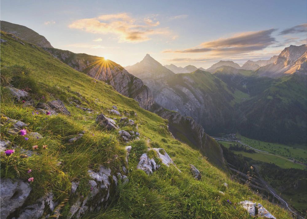Vliestapete "Summer Meadow" von Stefan Hefele