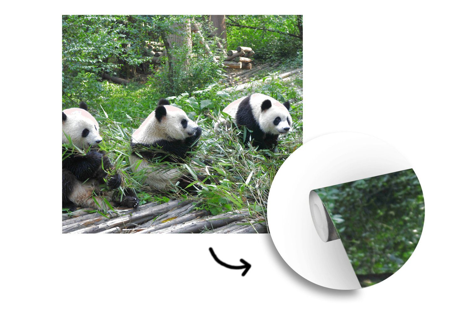 Wandtapete Bambus, Tapete - Natur Vinyl MuchoWow Panda bedruckt, Wohnzimmer für (5 St), oder Schlafzimmer, Fototapete - Matt,