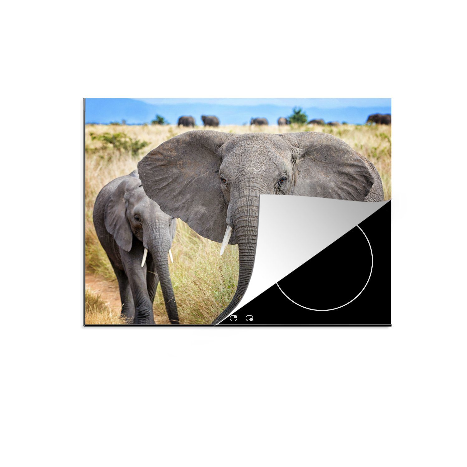 MuchoWow Herdblende-/Abdeckplatte Elefant - Tiere die für cm, - tlg), Gras - 71x52 küche, (1 Schutz Ceranfeldabdeckung Natur, Vinyl, Induktionskochfeld