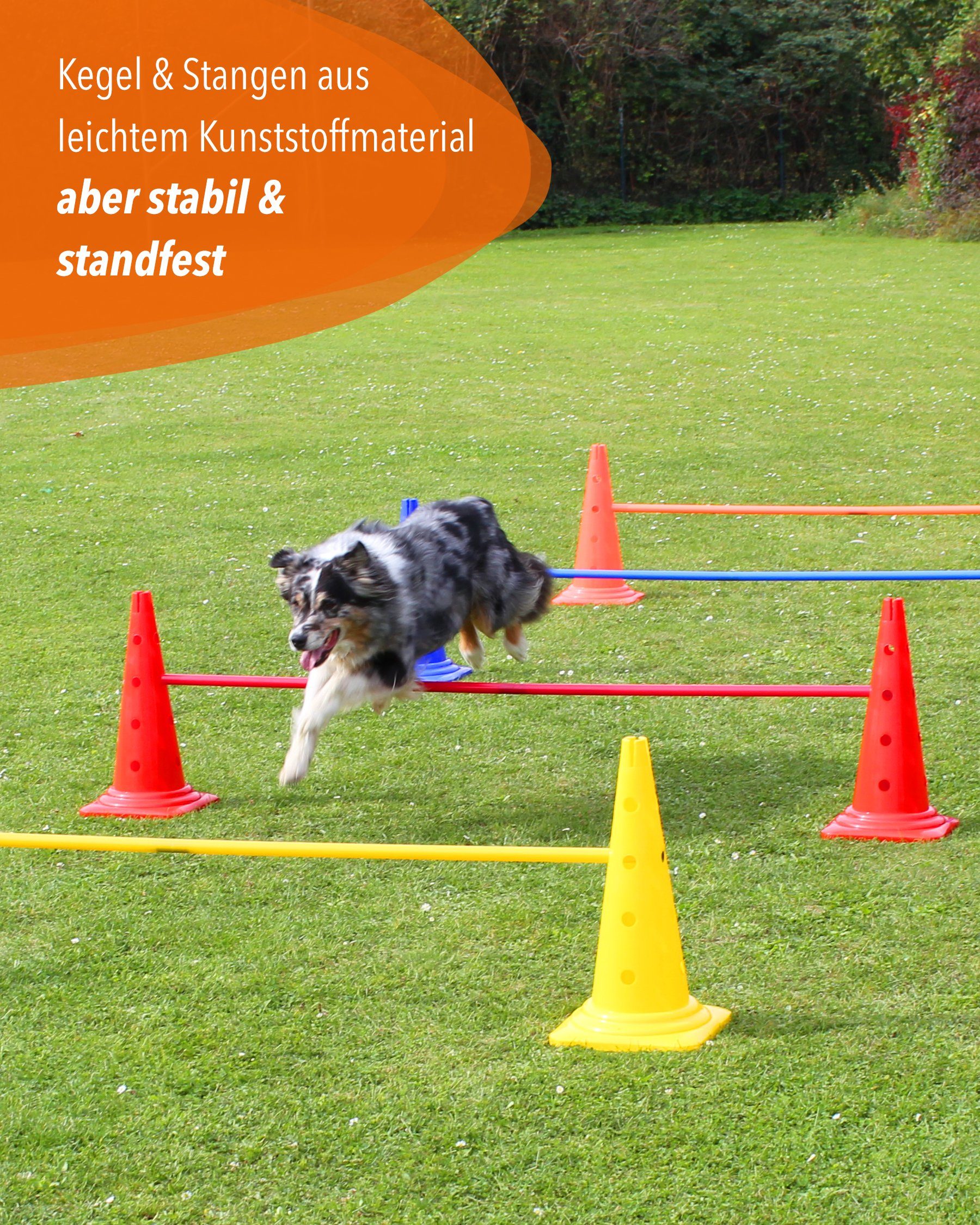 Superhund Hürde Kegelhürde 50 & Stange 200 Farbe Orange
