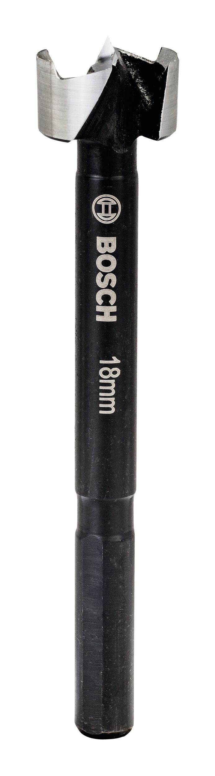 Holzbohrer