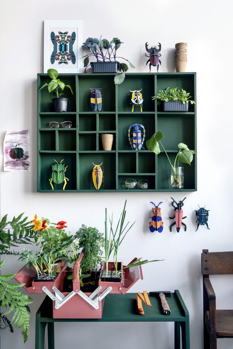 studio ROOF Wanddekoobjekt 3D Click Käfer (1 St), Zum Zusammenstecken