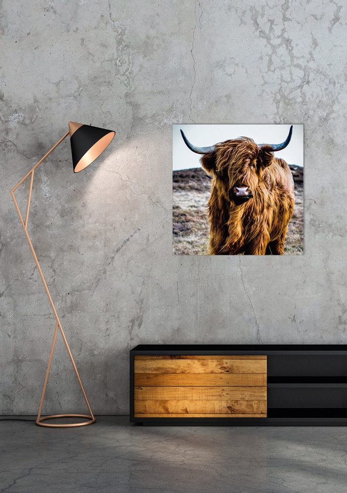 ArtUniverse Bild Hochlandrind Glasbild 60x60 & günstig online kaufen