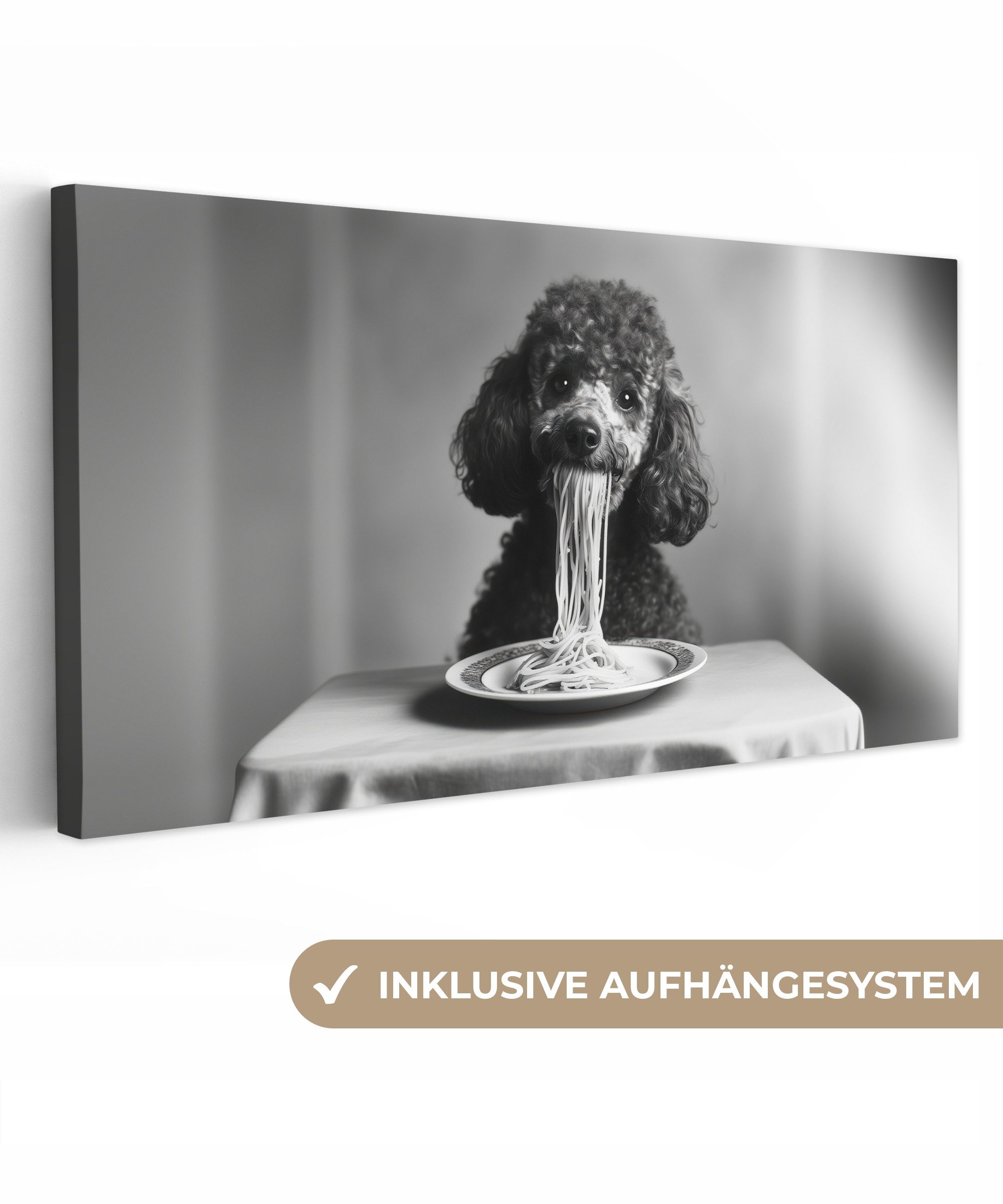 OneMillionCanvasses® Leinwandbild Panorama Pudel - Hund günstig online kaufen