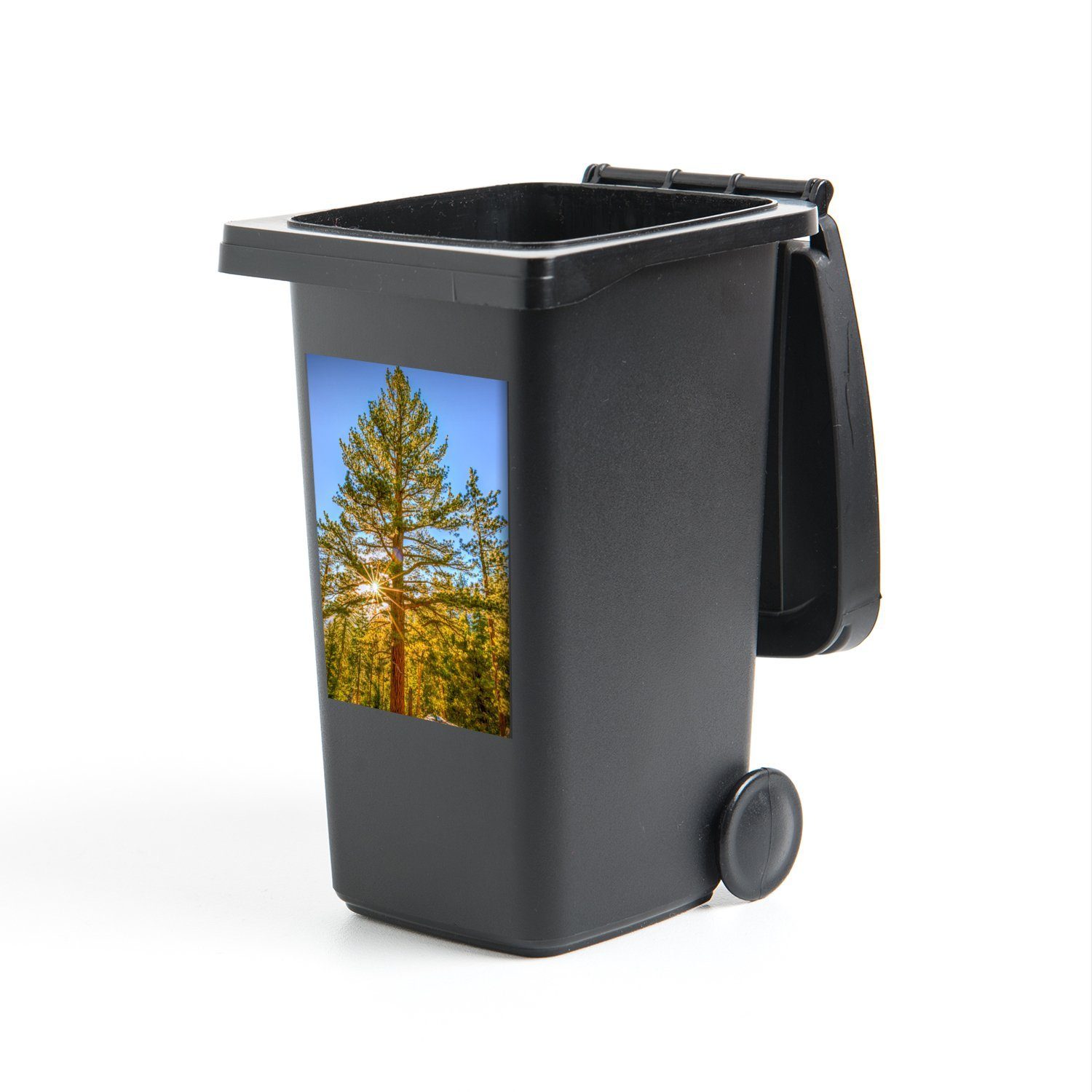 MuchoWow Wandsticker Sonne im Sequoia National Park im Winter in den Vereinigten Staaten (1 St), Mülleimer-aufkleber, Mülltonne, Sticker, Container, Abfalbehälter