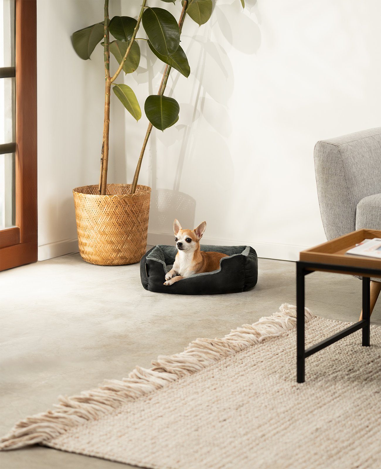 lionto Tierkissen Hundebett mit Wendekissen & günstig online kaufen