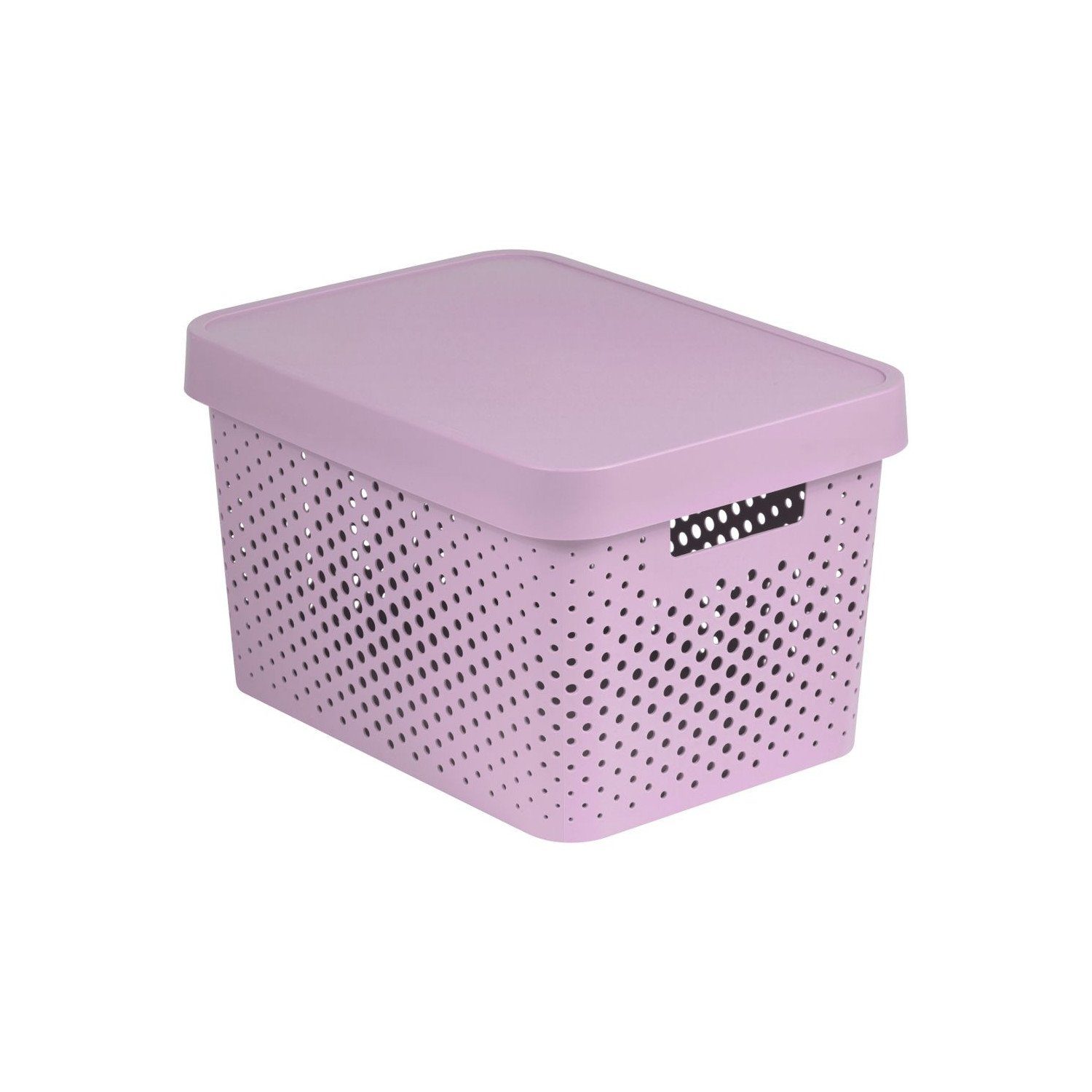 Curver Aufbewahrungsbox, Aufbewahrungsbox mit Deckel 17 günstig online kaufen