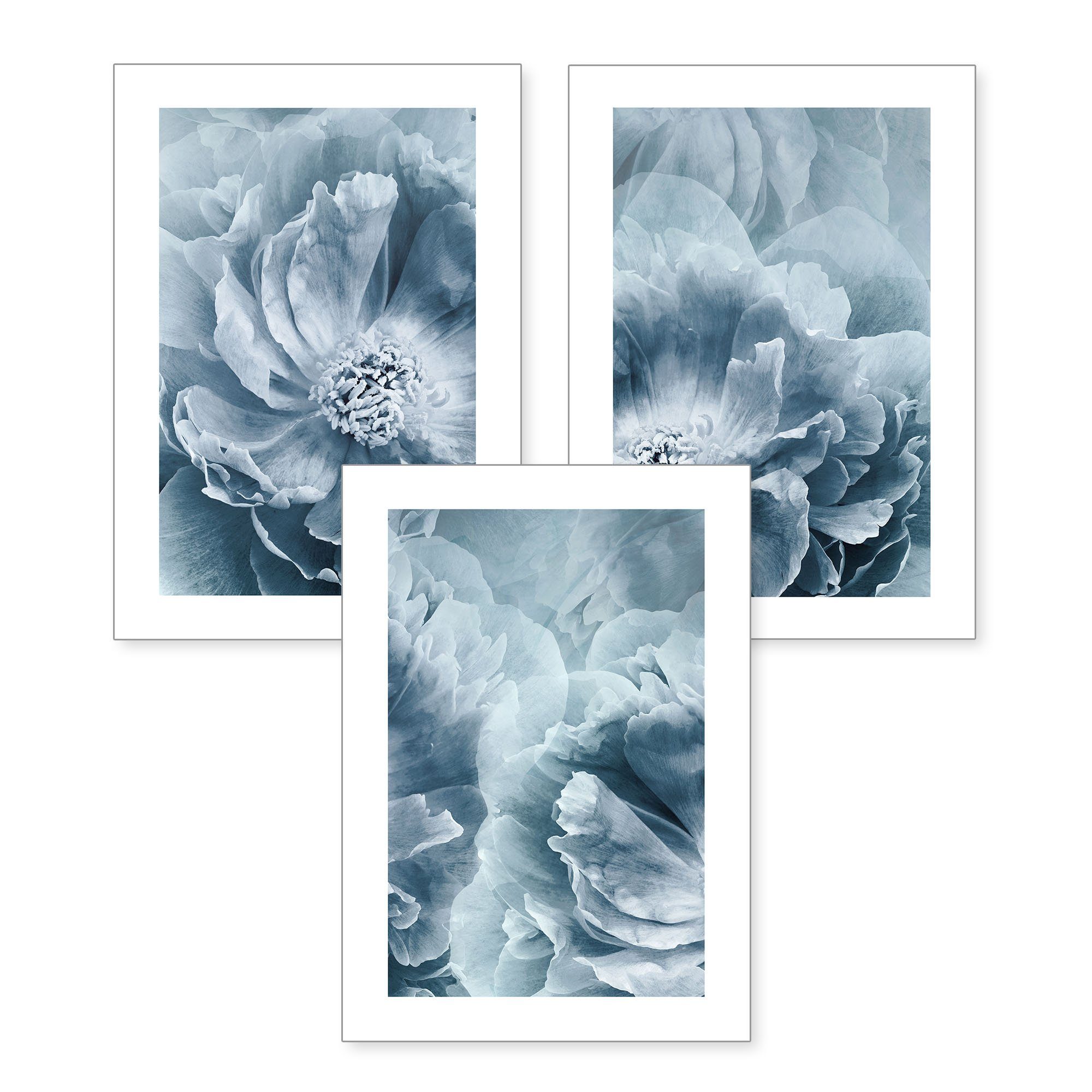 Kreative Feder Poster, Natur, Pflanze, Blume, Garten, Blau, Blüte (Set, 3 St), 3-teiliges Poster-Set, Wandbild, optional mit Rahmen, DIN A4 oder A3