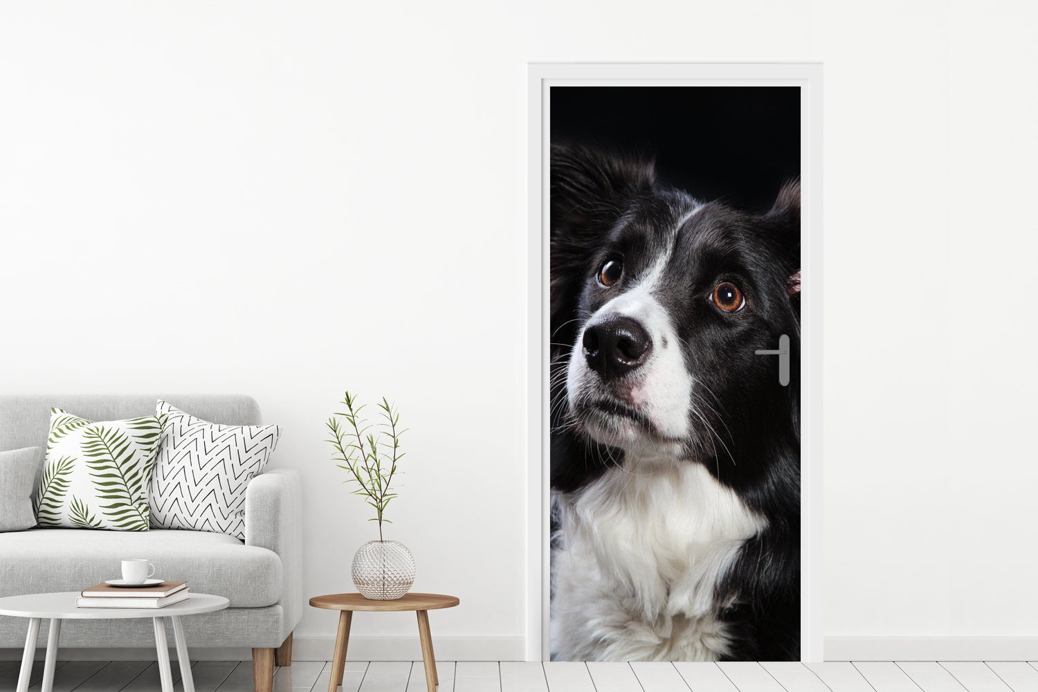 Matt, MuchoWow Collie, bedruckt, Fototapete Türtapete 75x205 Tür, Türaufkleber, St), für Border cm (1 eines Porträt