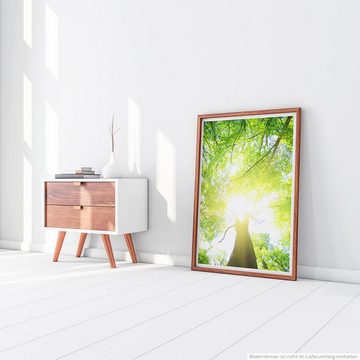 Sinus Art Poster Naturfotografie 60x90cm Poster Grüner Wald an einem sonnigen Tag