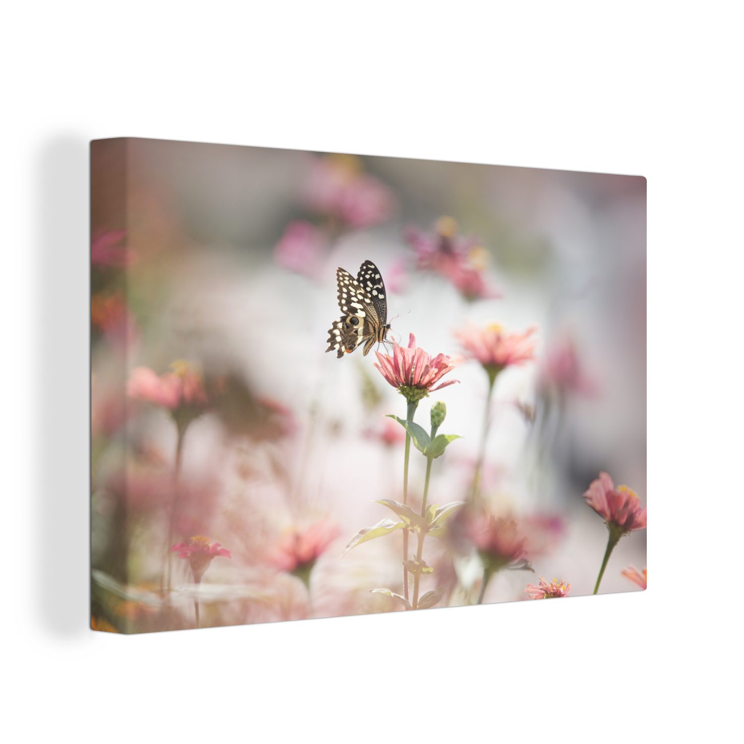 OneMillionCanvasses® Leinwandbild Schmetterling - Blume - Rosa, (1 St), Wandbild Leinwandbilder, Aufhängefertig, Wanddeko, 30x20 cm