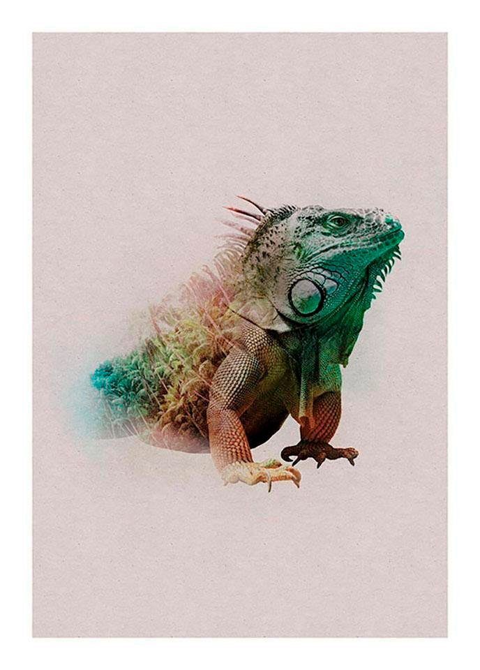 Animals Schlafzimmer, Paradise Kinderzimmer, St), Tiere Komar Wohnzimmer Poster Iguana, (1